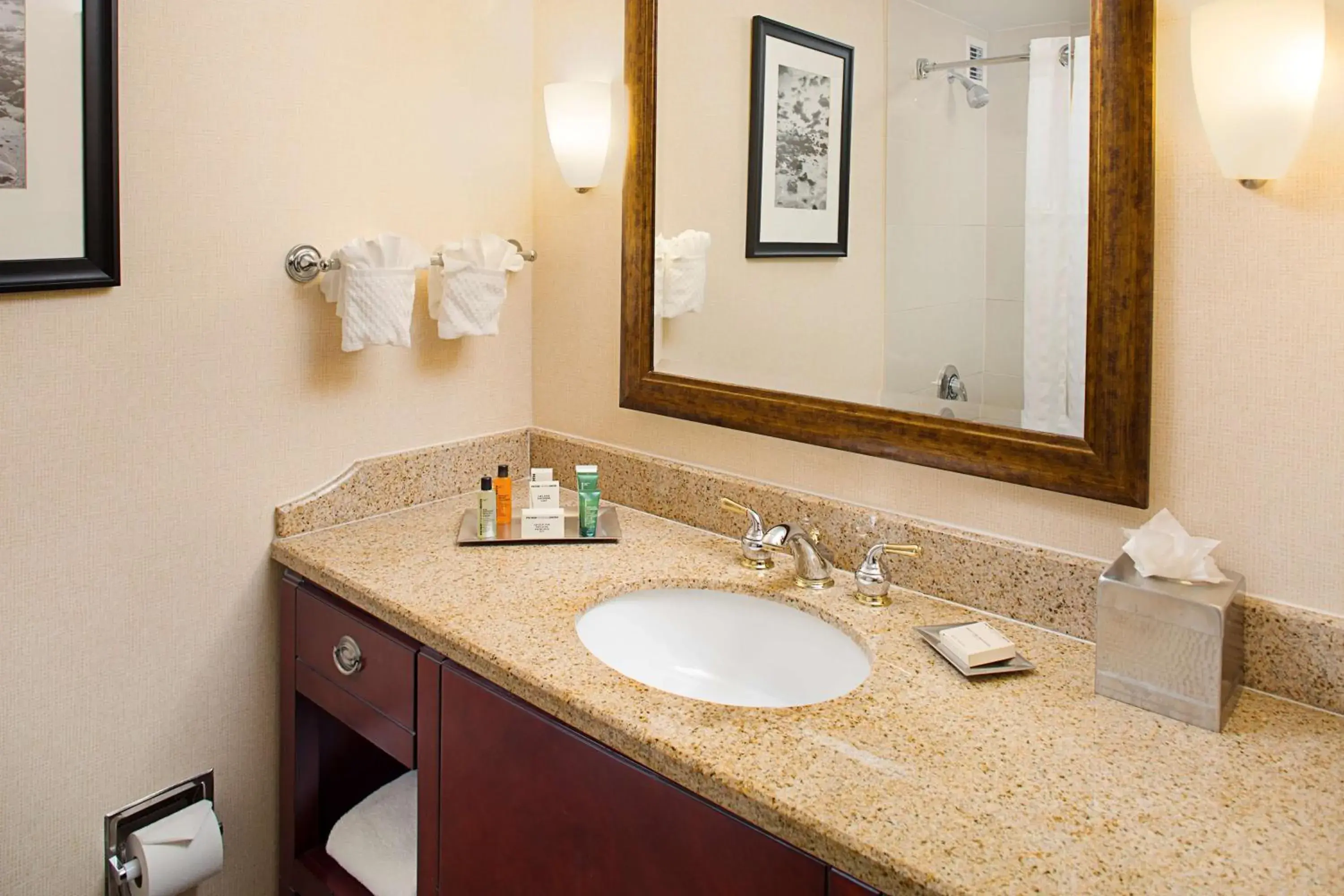 Bathroom in Hilton Providence Bathroom in Hilton Providence