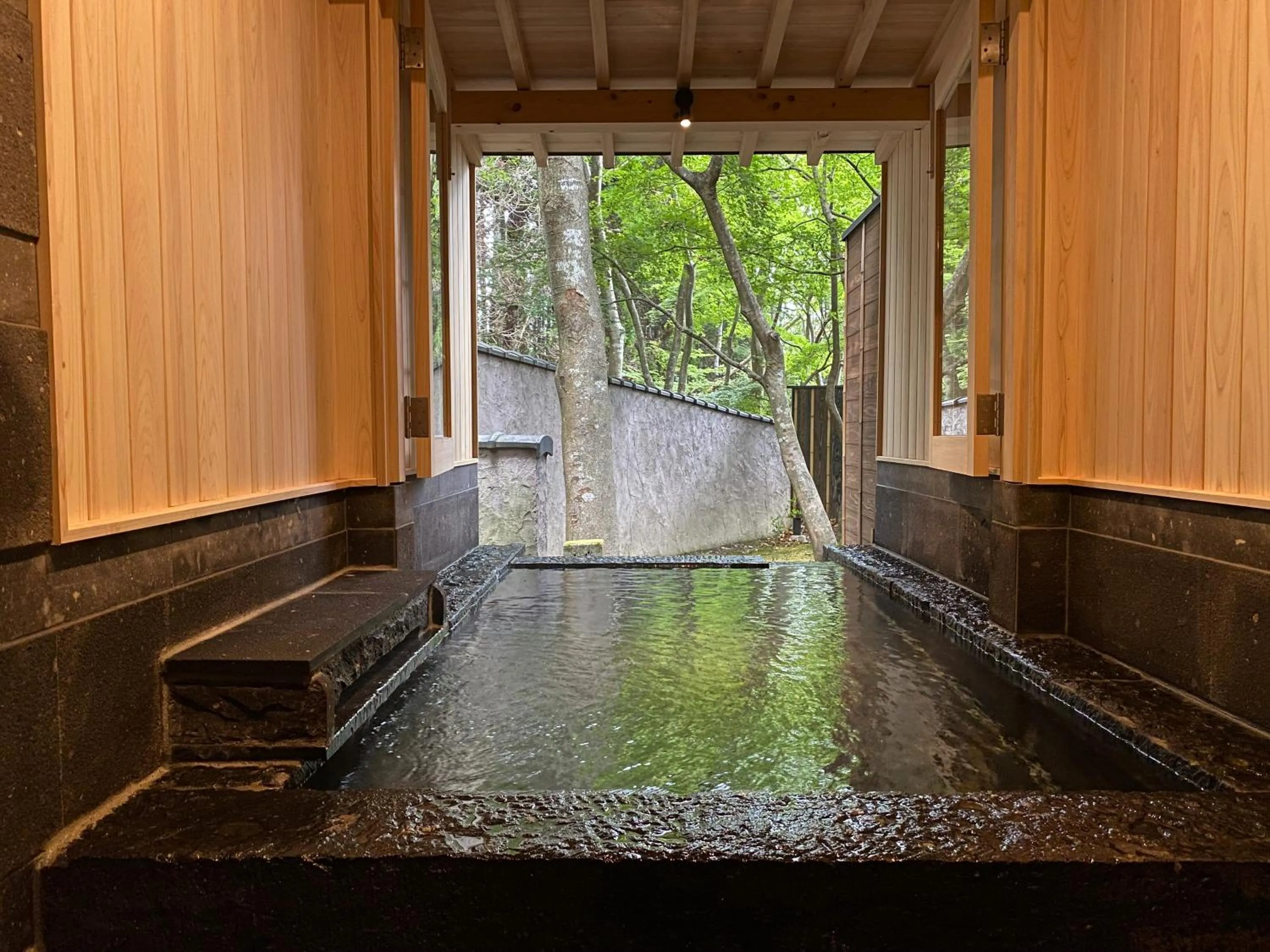 Hot Spring Bath in Nihon-no-Ashitaba