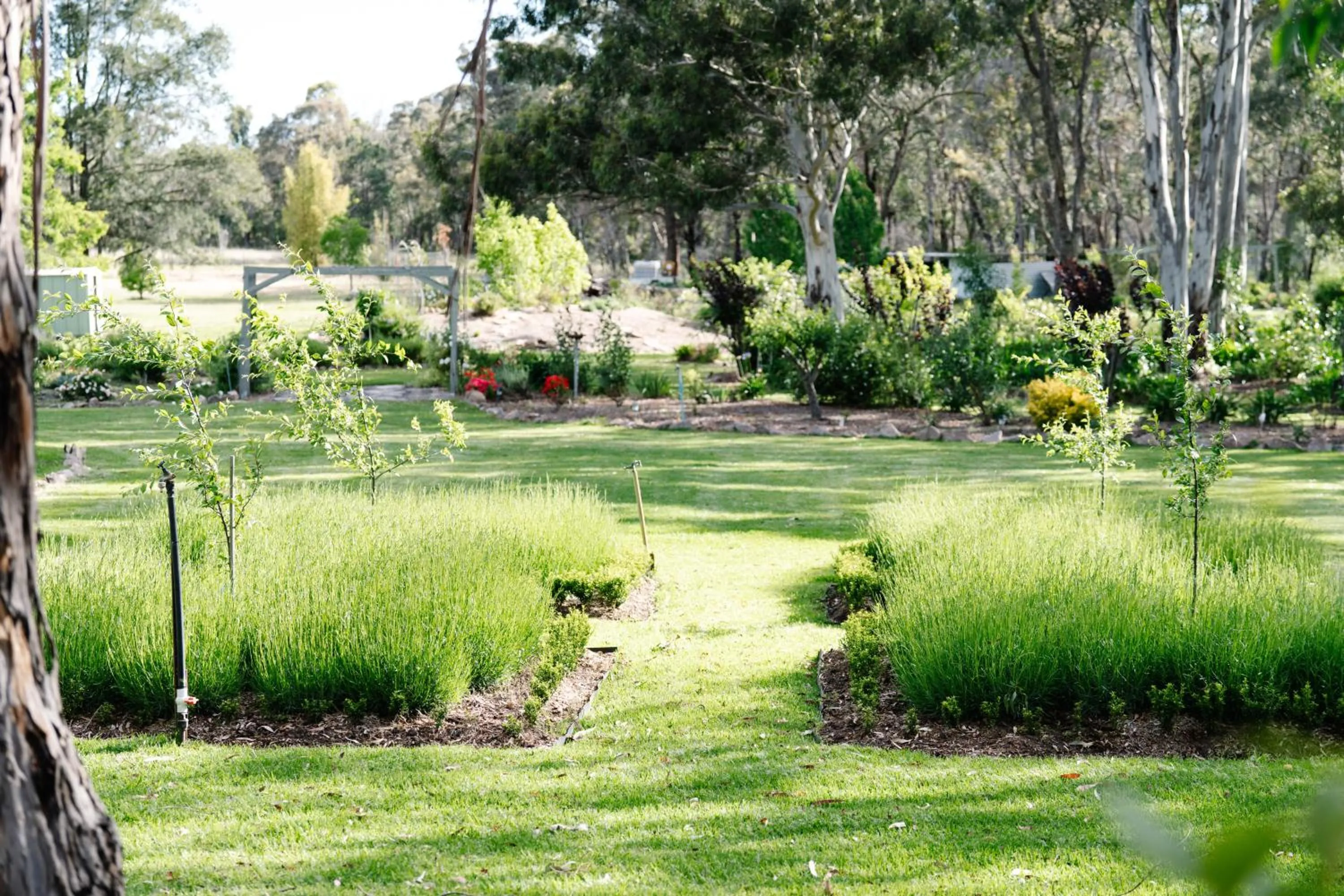 Granite Gardens Cottages & Lake Retreat