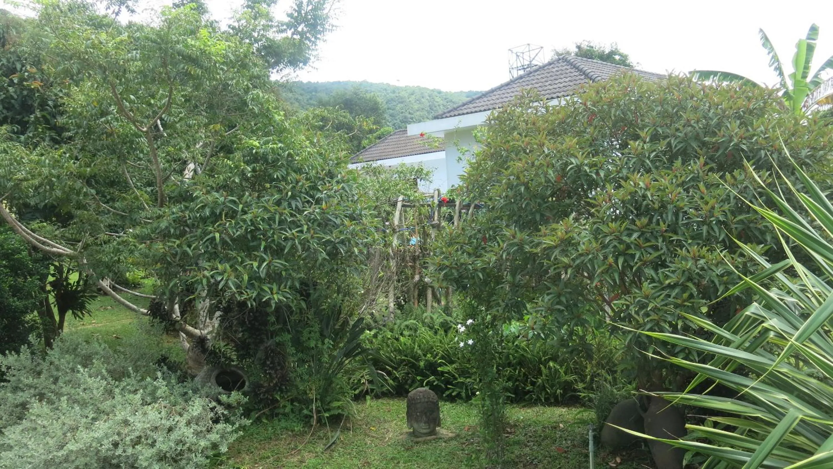 Garden in Phu Quoc Private Villa