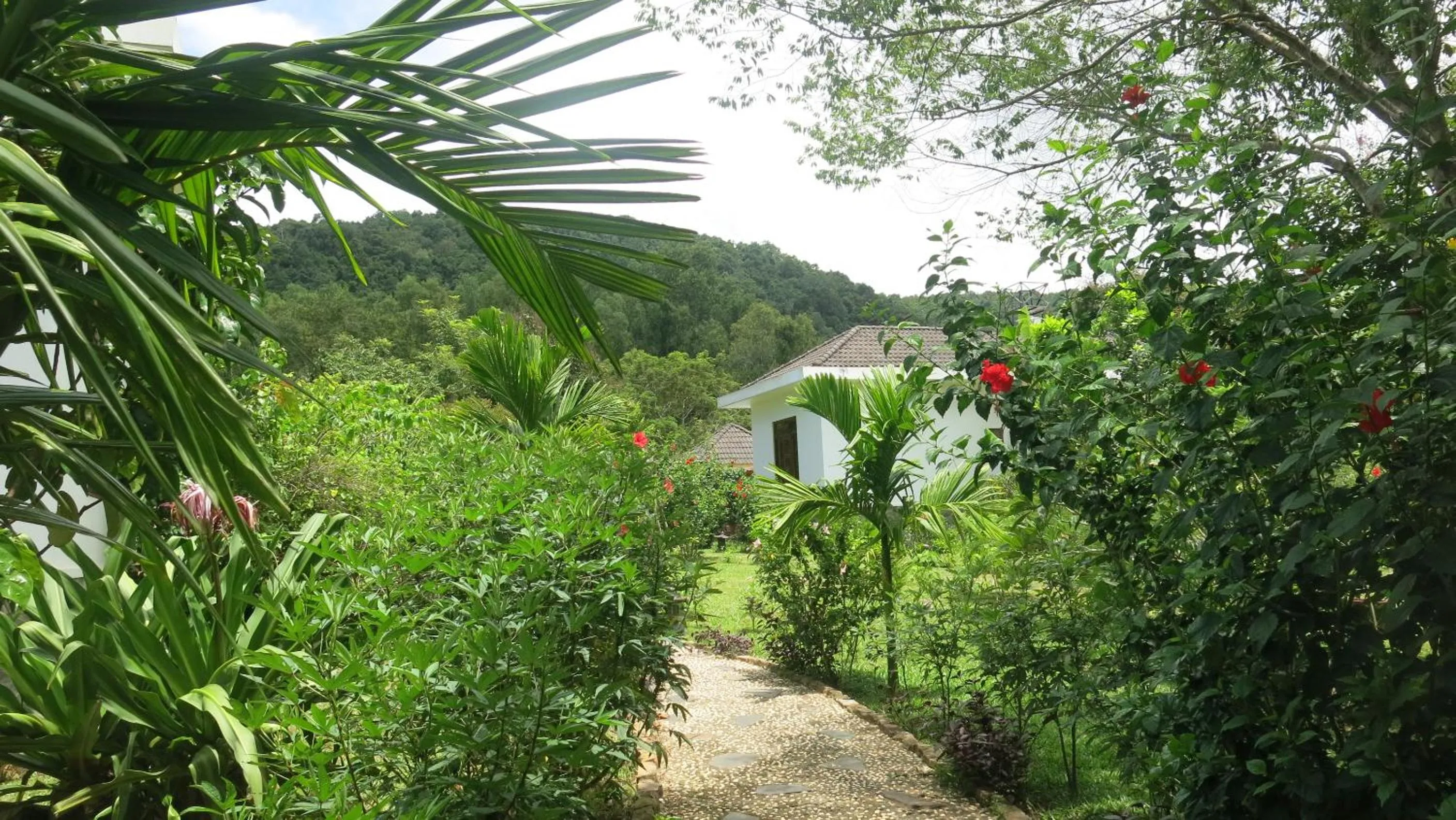 Natural landscape in Phu Quoc Private Villa
