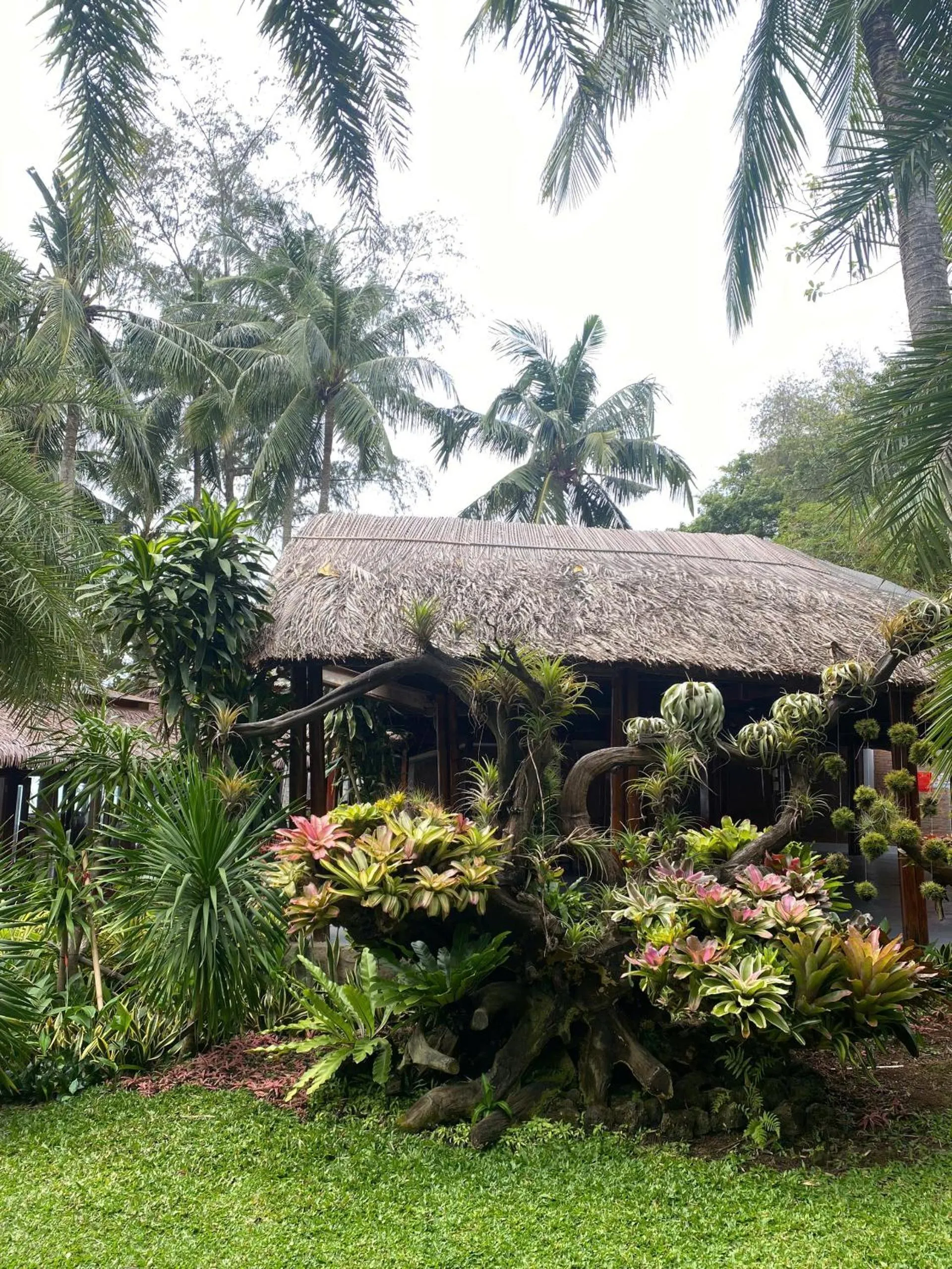 Coco Palm Beach Resort