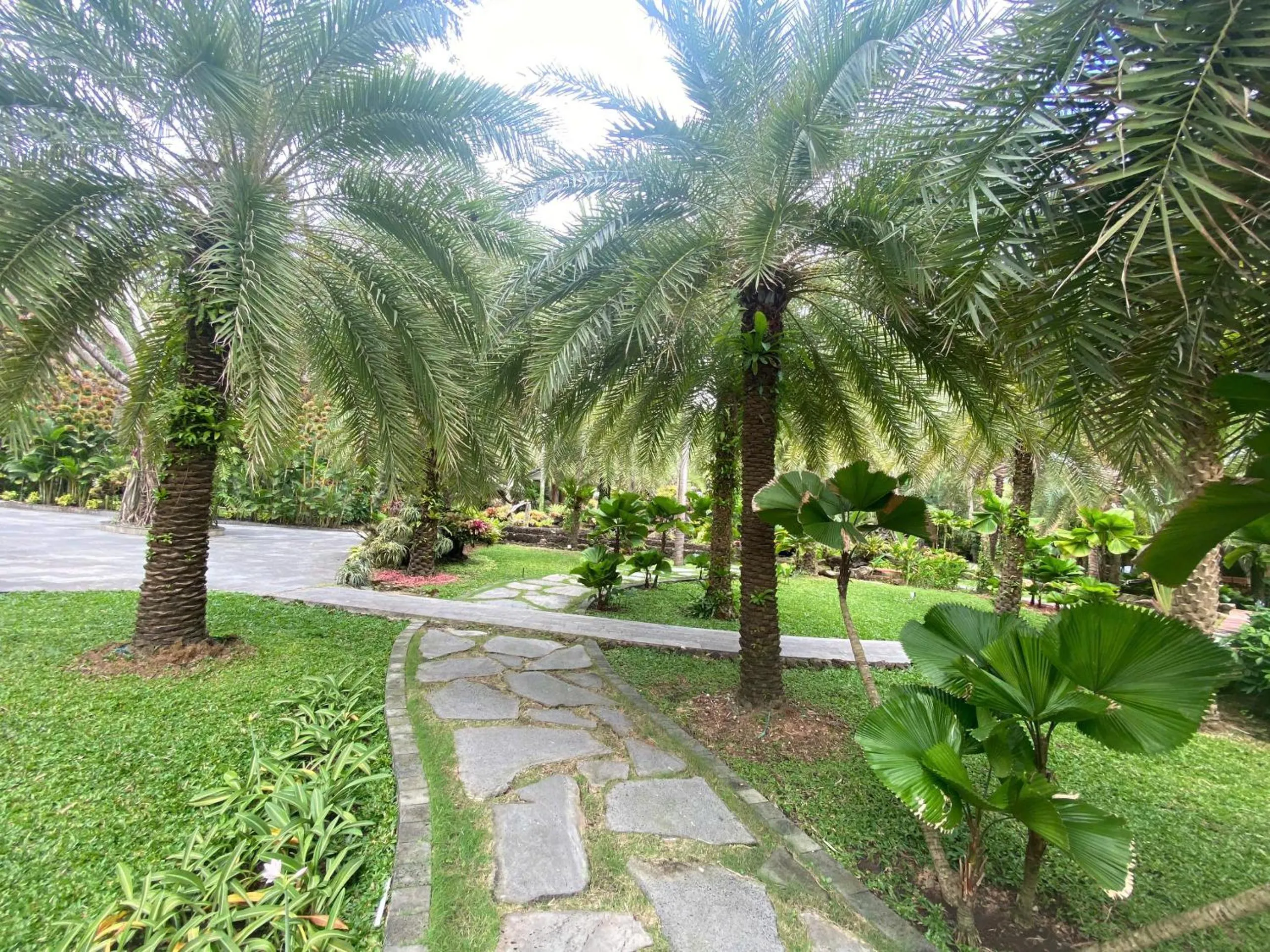 Coco Palm Beach Resort