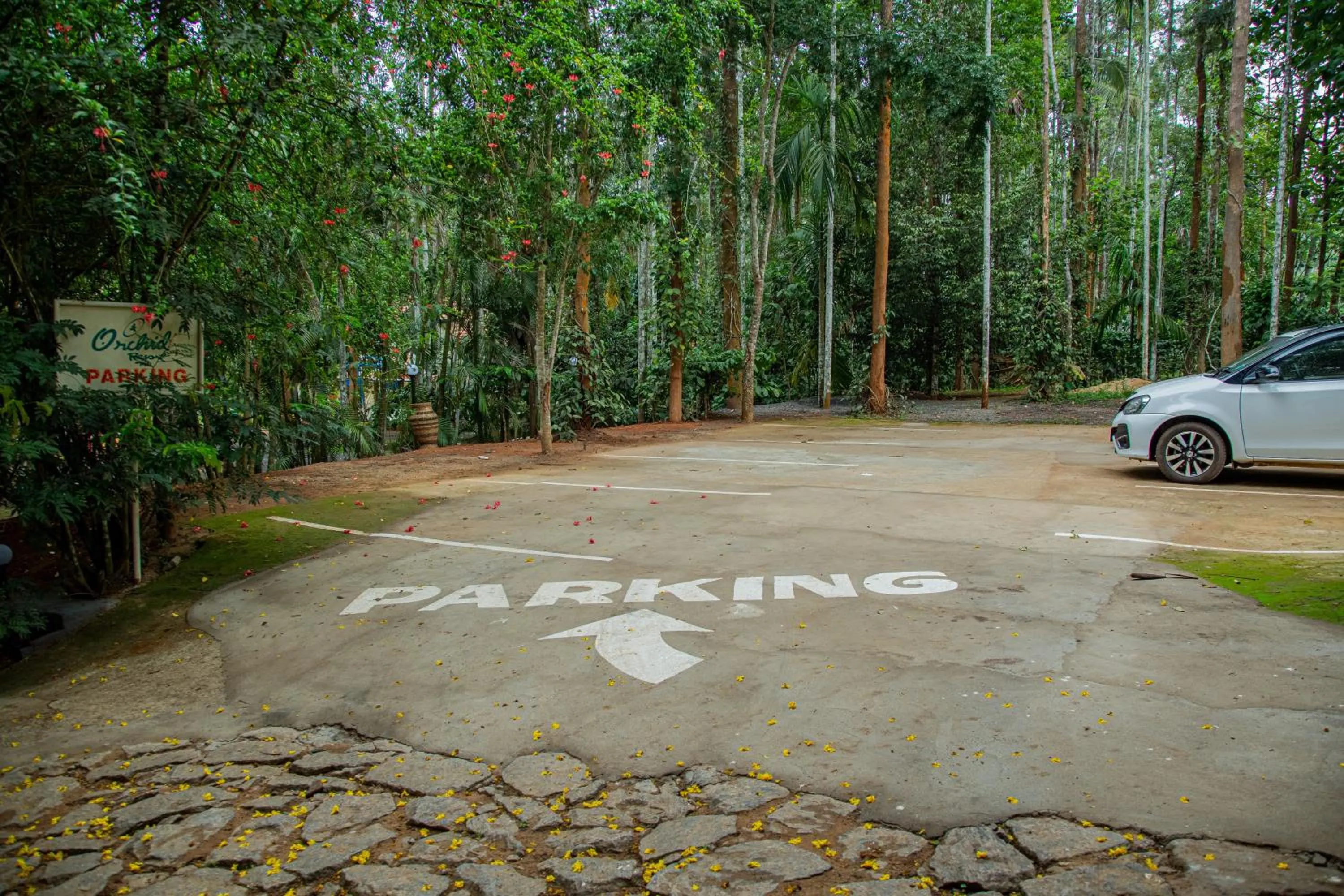 Other in Orchid Trails Resort