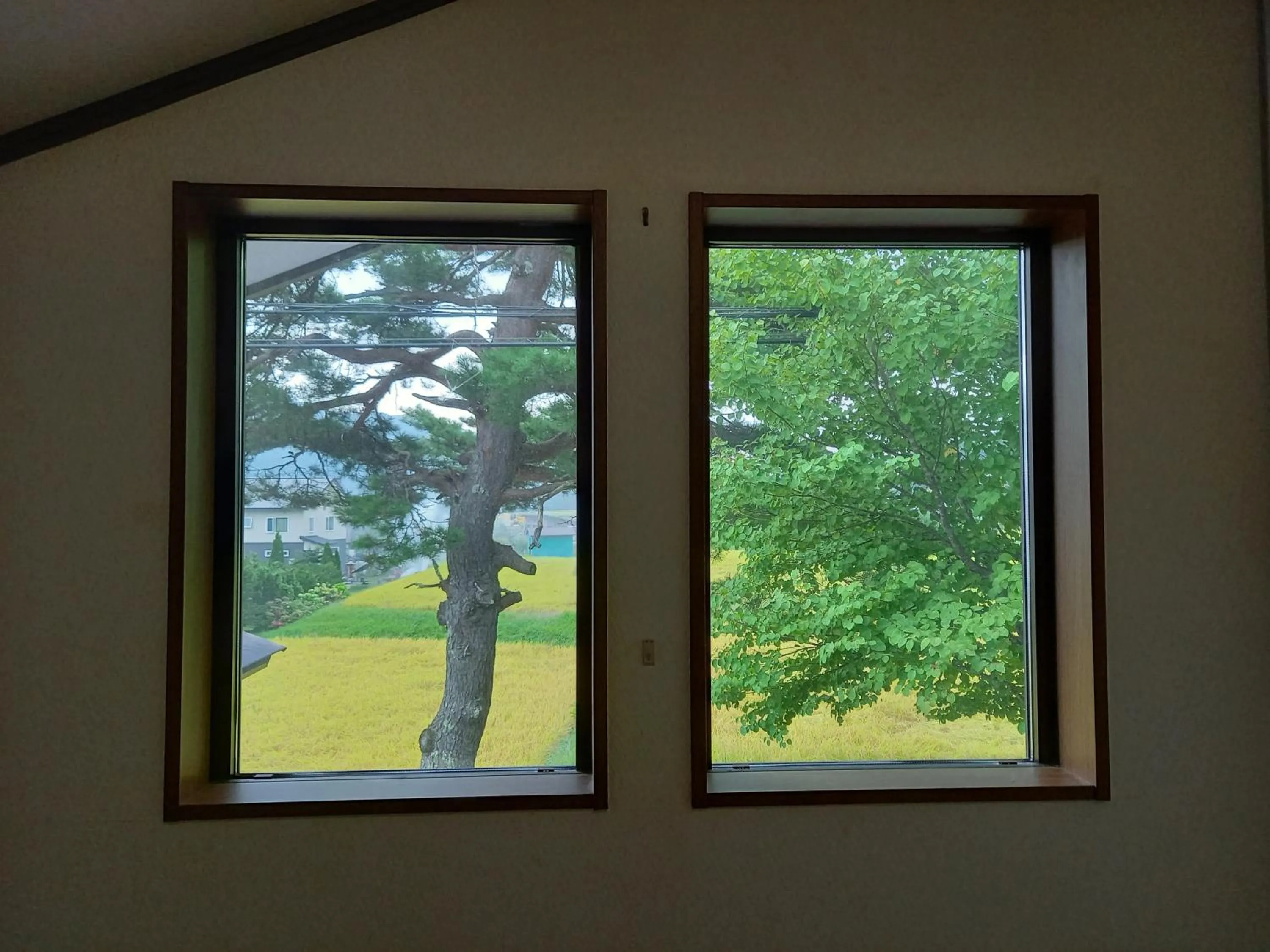Garden view in Hakuba Powder Lodge Taketombo