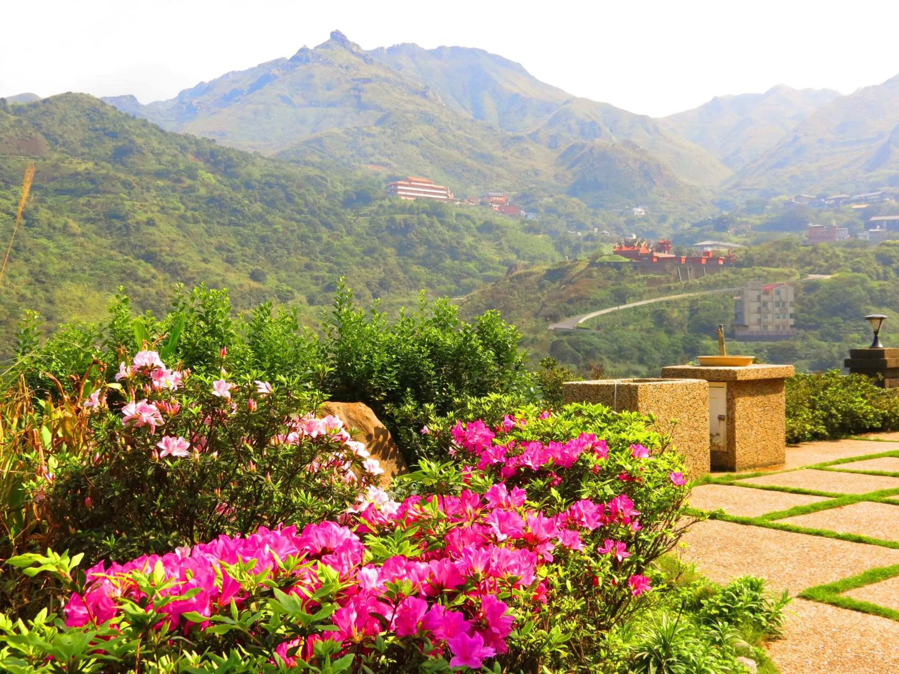 Restaurant/places to eat in Formosa Arcadian Villa