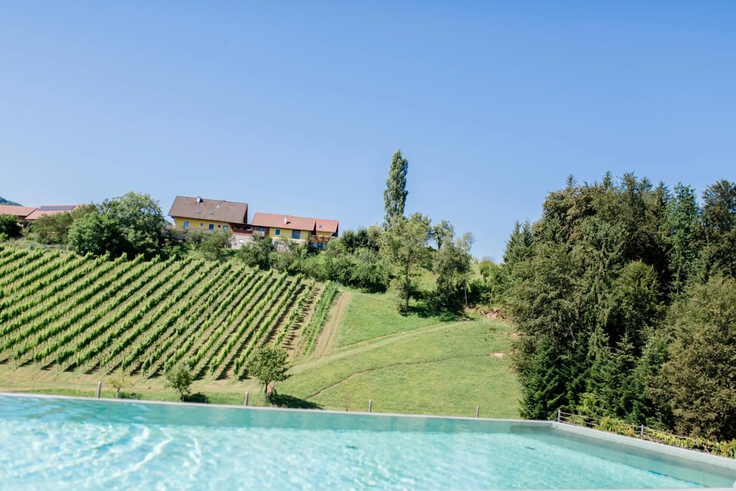 Swimming pool in Landgut am Pößnitzberg