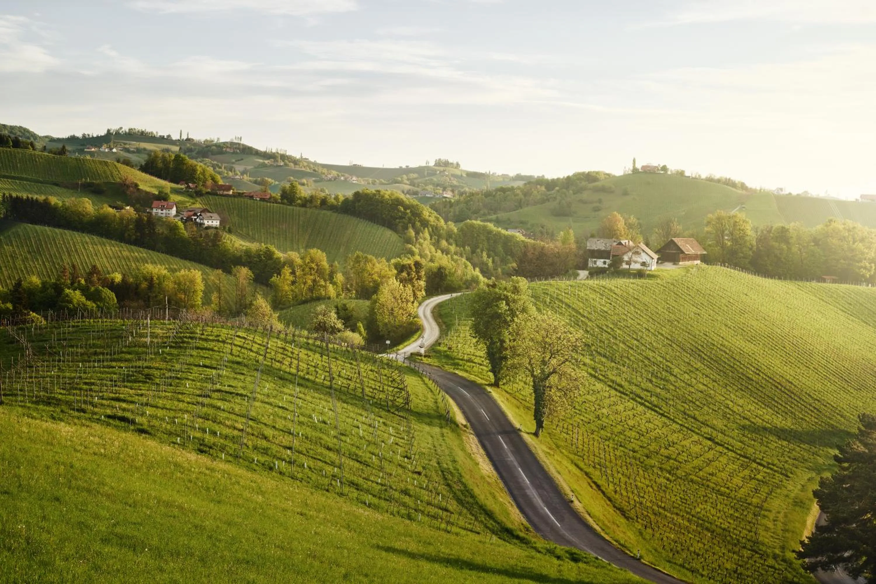 Natural landscape in Landgut am Pößnitzberg