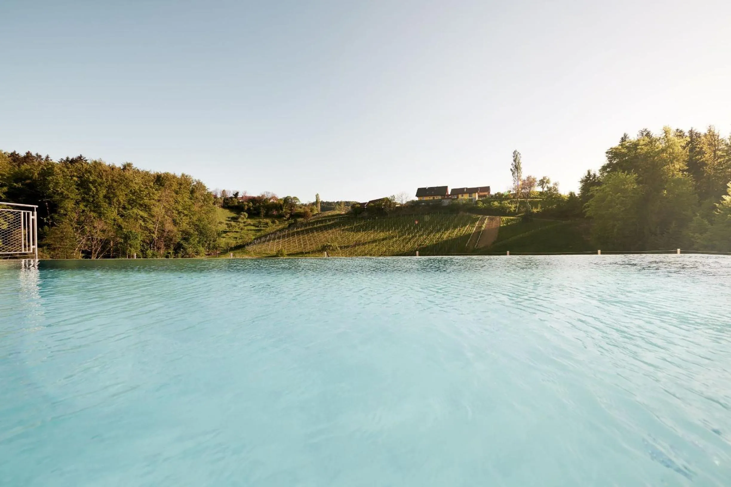Pool view in Landgut am Pößnitzberg