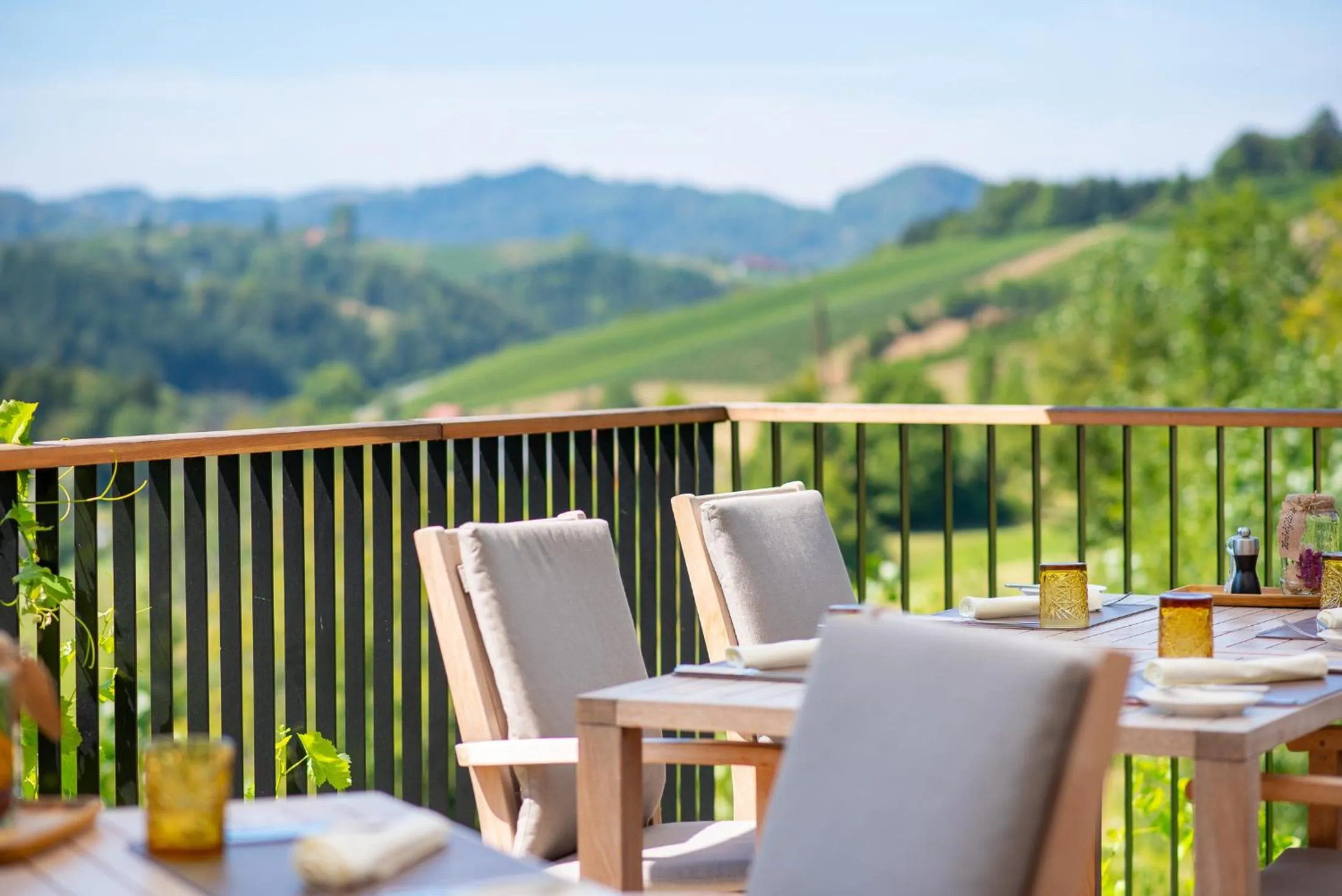 Restaurant/places to eat in Landgut am Pößnitzberg