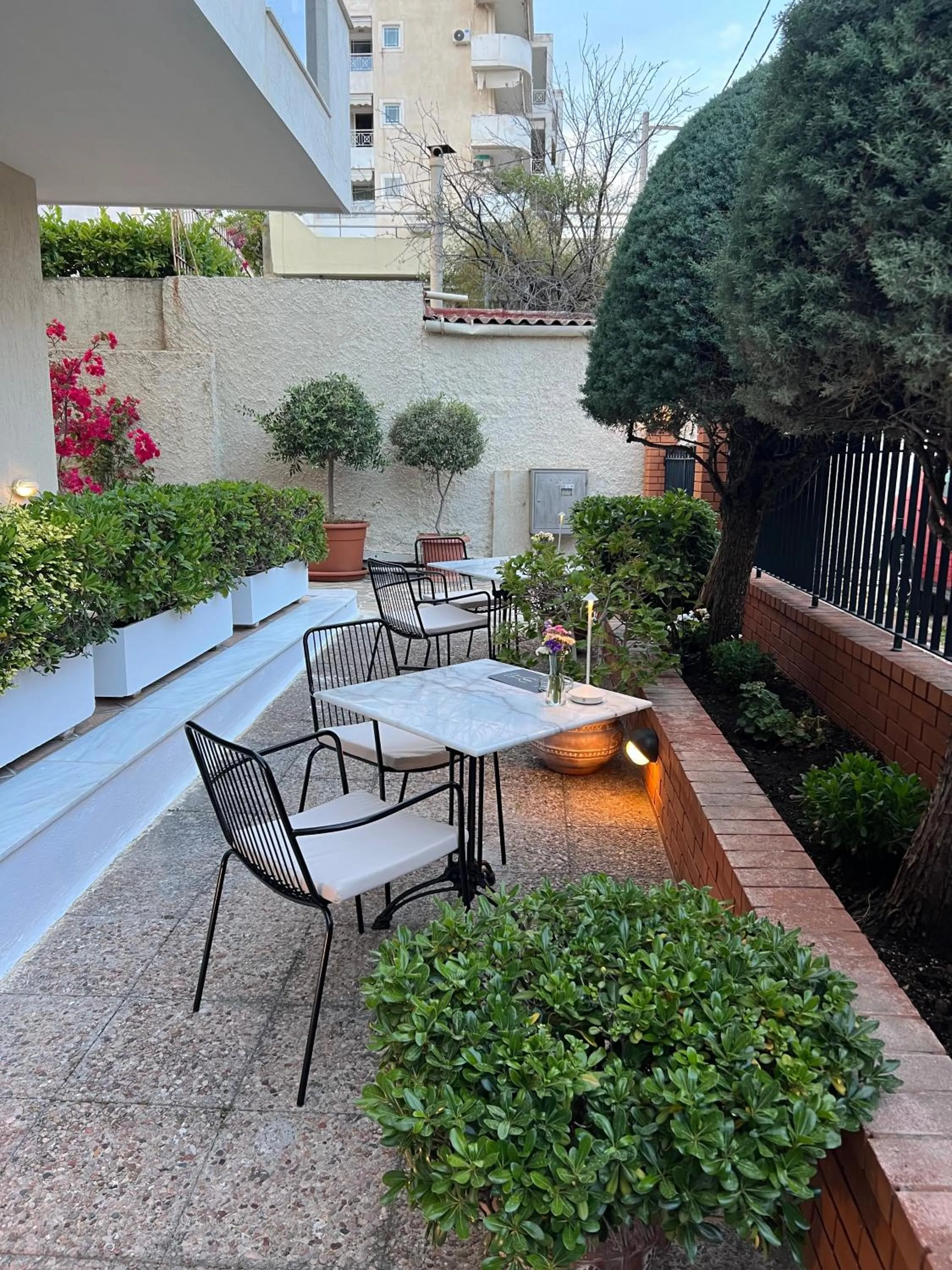 Garden in Hotel Maroussi