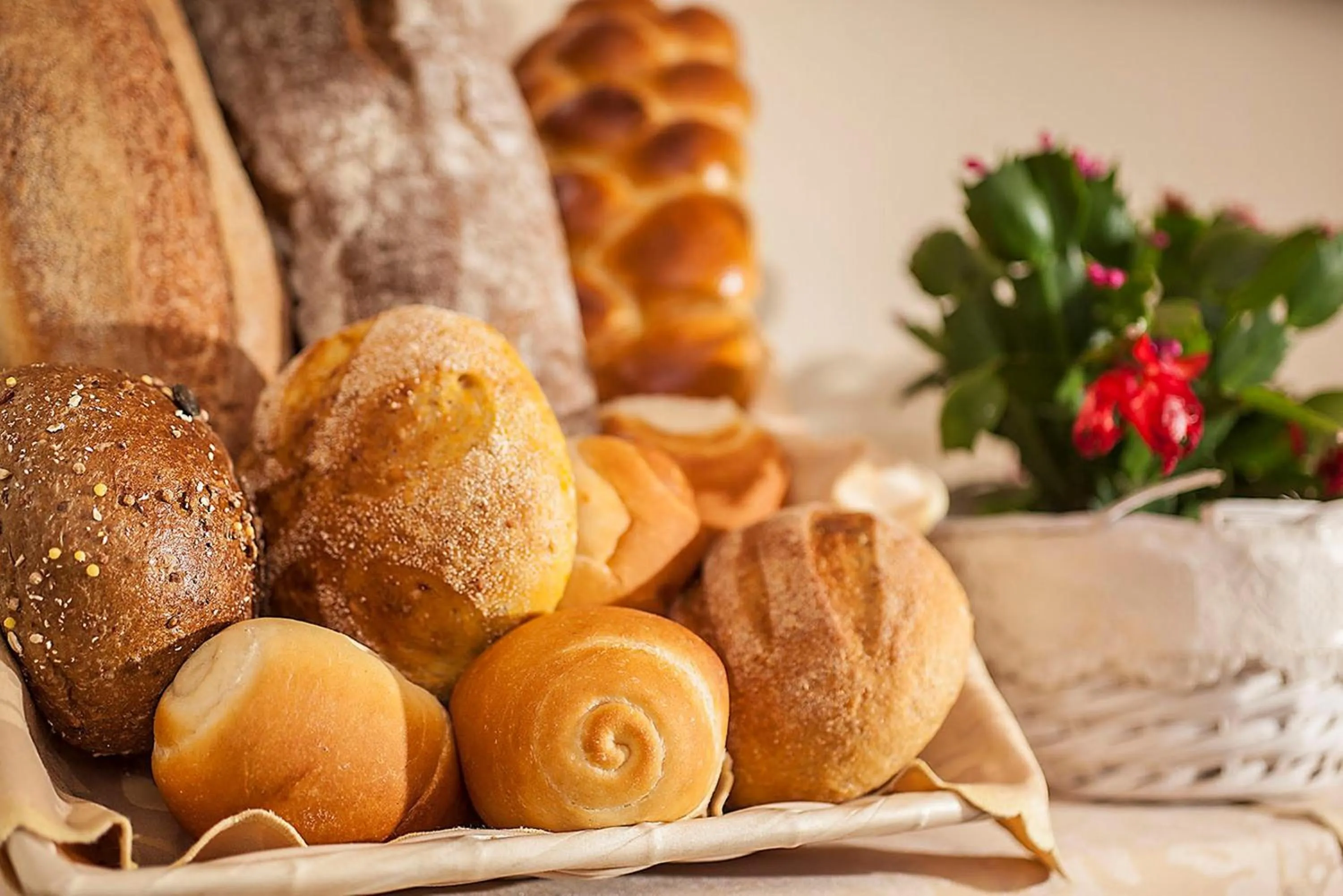 Restaurant/places to eat in Hotel Nettuno