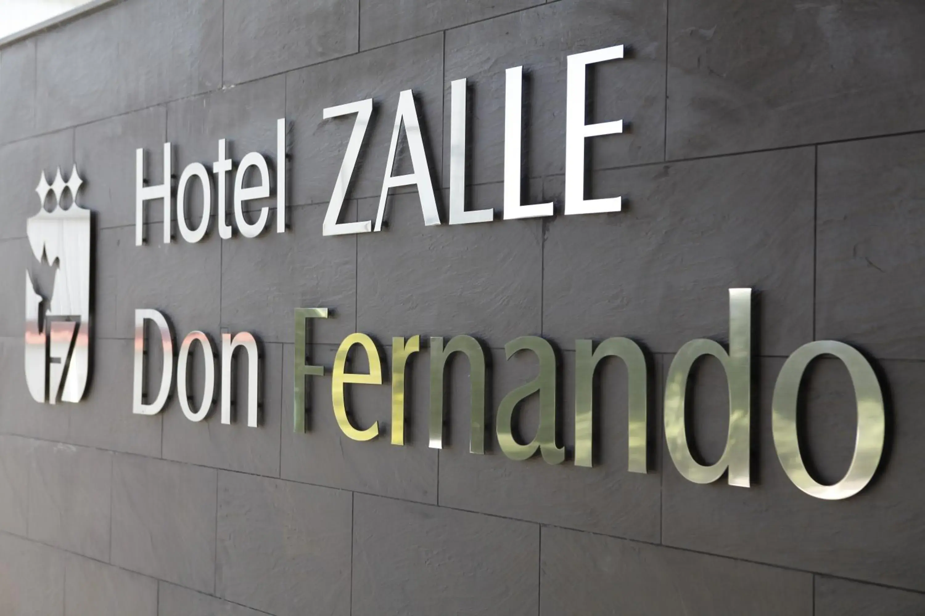 Double or Twin Room in Hotel Zalle Don Fernando Double or Twin Room in Hotel Zalle Don Fernando