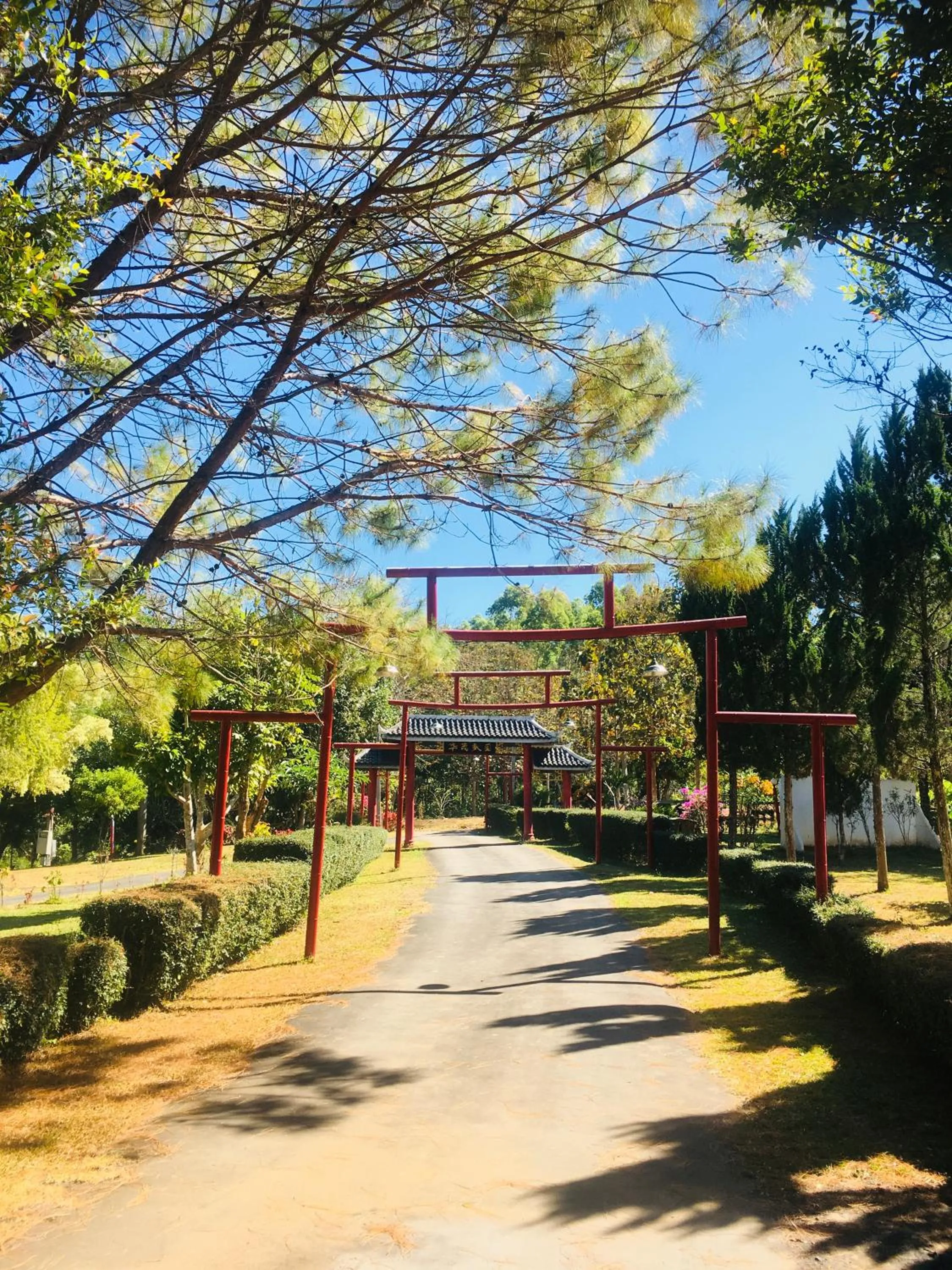 The Natural Yurt Resort @ Khao Kho