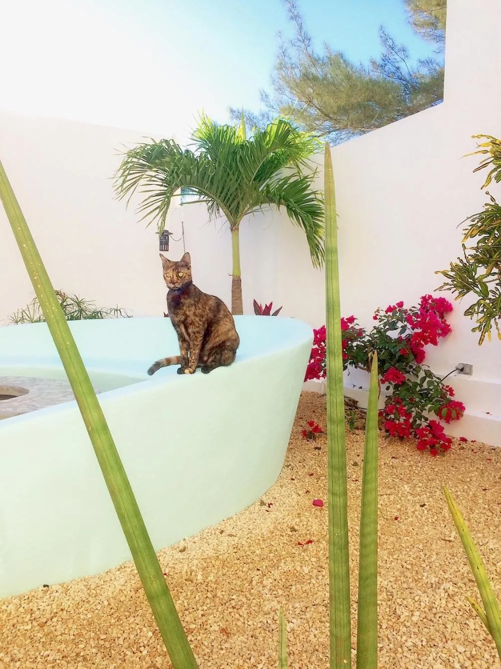 Playa 55 beach escape - adults only Guesthouse