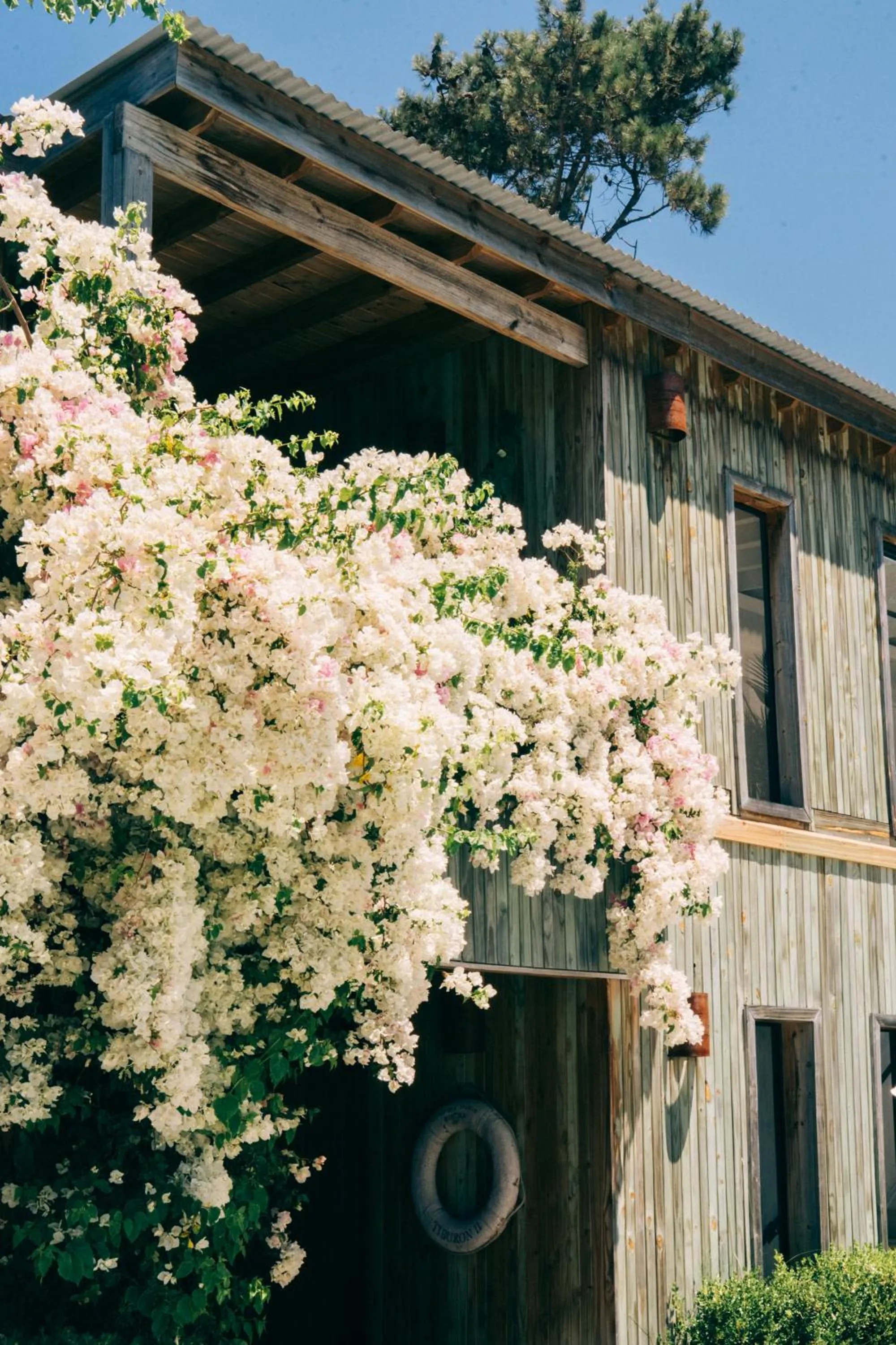 Property building in Casa Flor