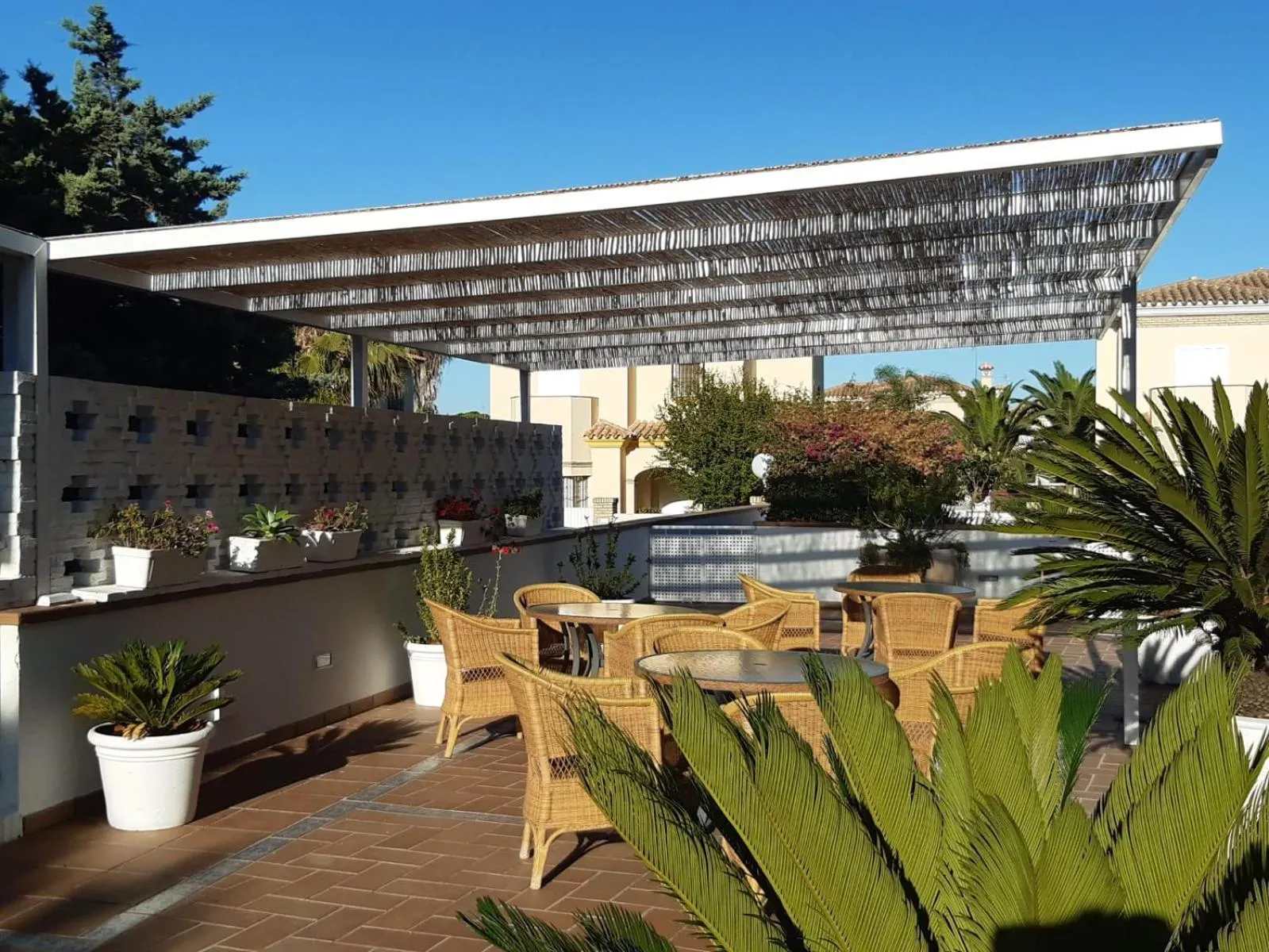 Patio in Hotel Marisma Sancti Petri