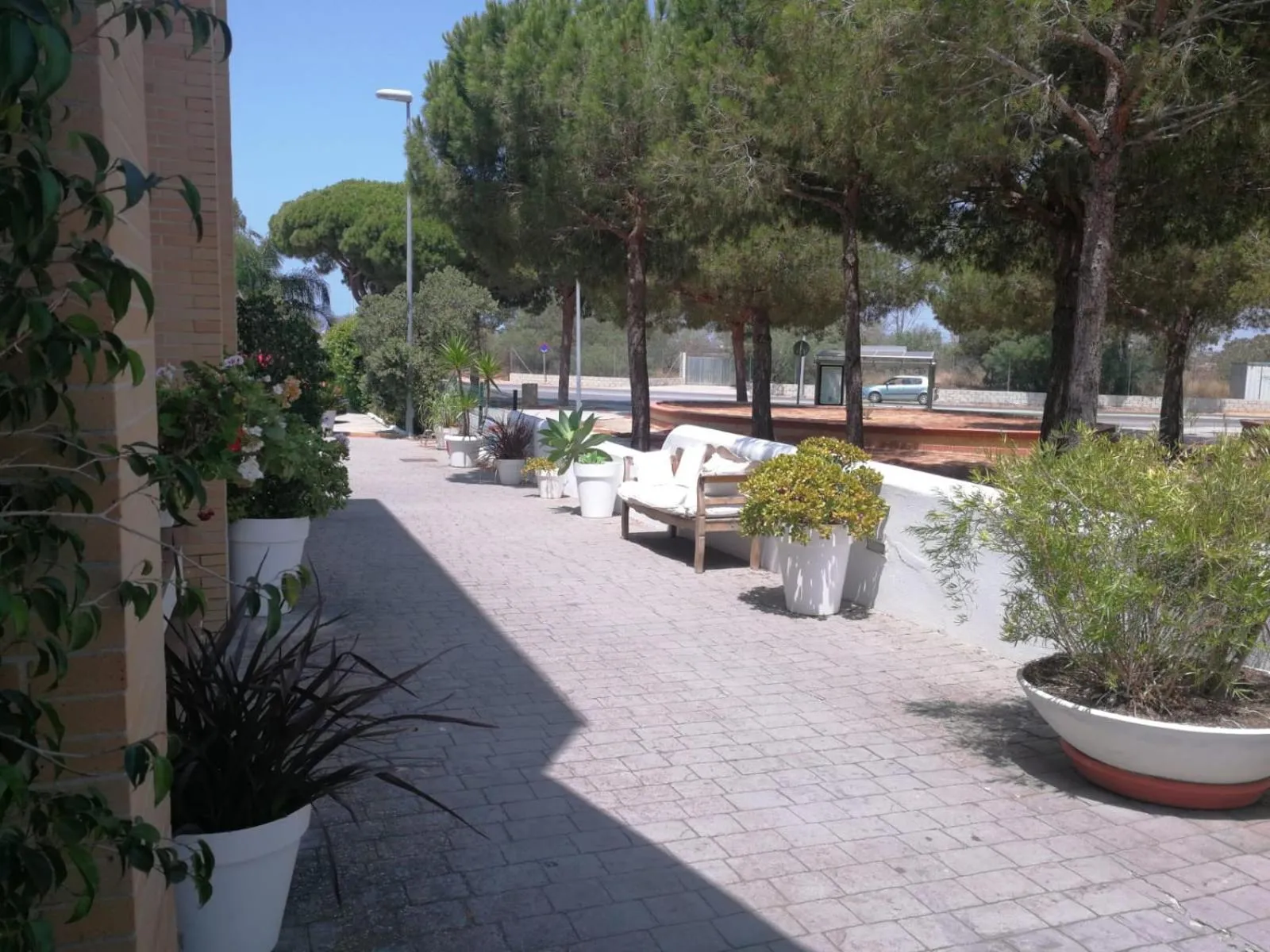 Patio in Hotel Marisma Sancti Petri