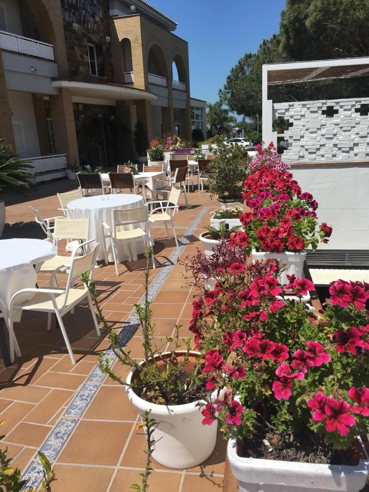 Patio in Hotel Marisma Sancti Petri