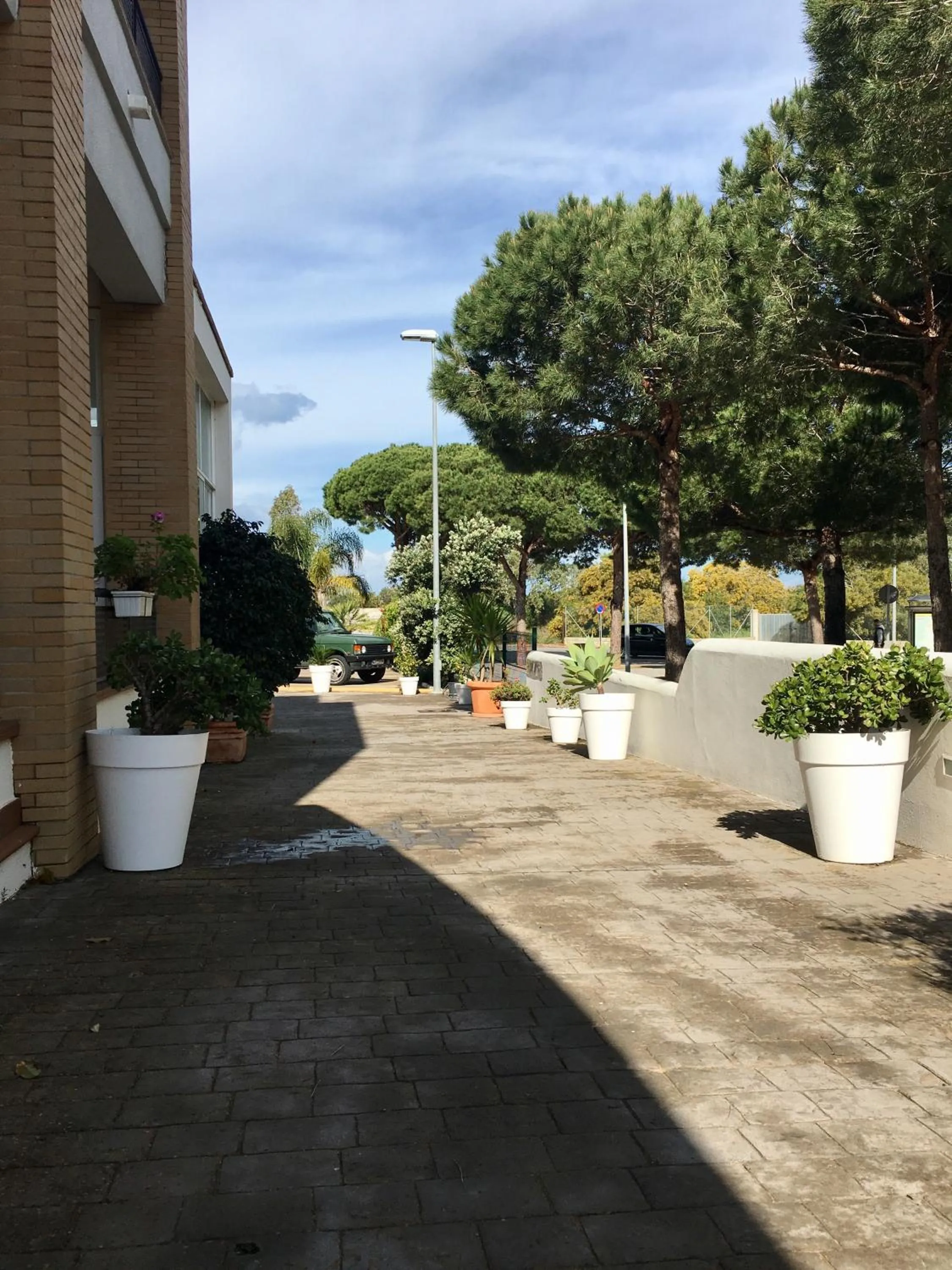 Patio in Hotel Marisma Sancti Petri