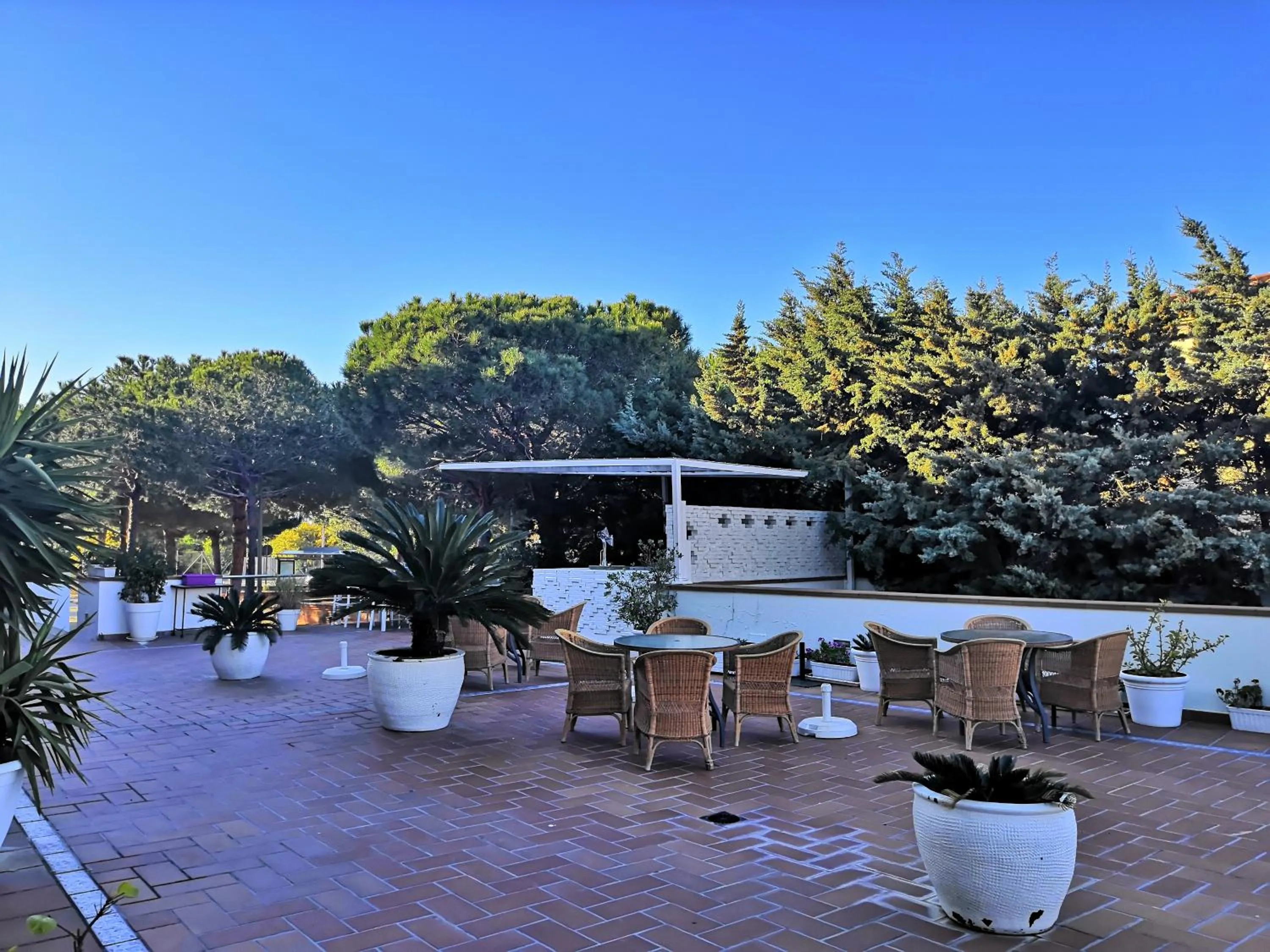 Patio in Hotel Marisma Sancti Petri