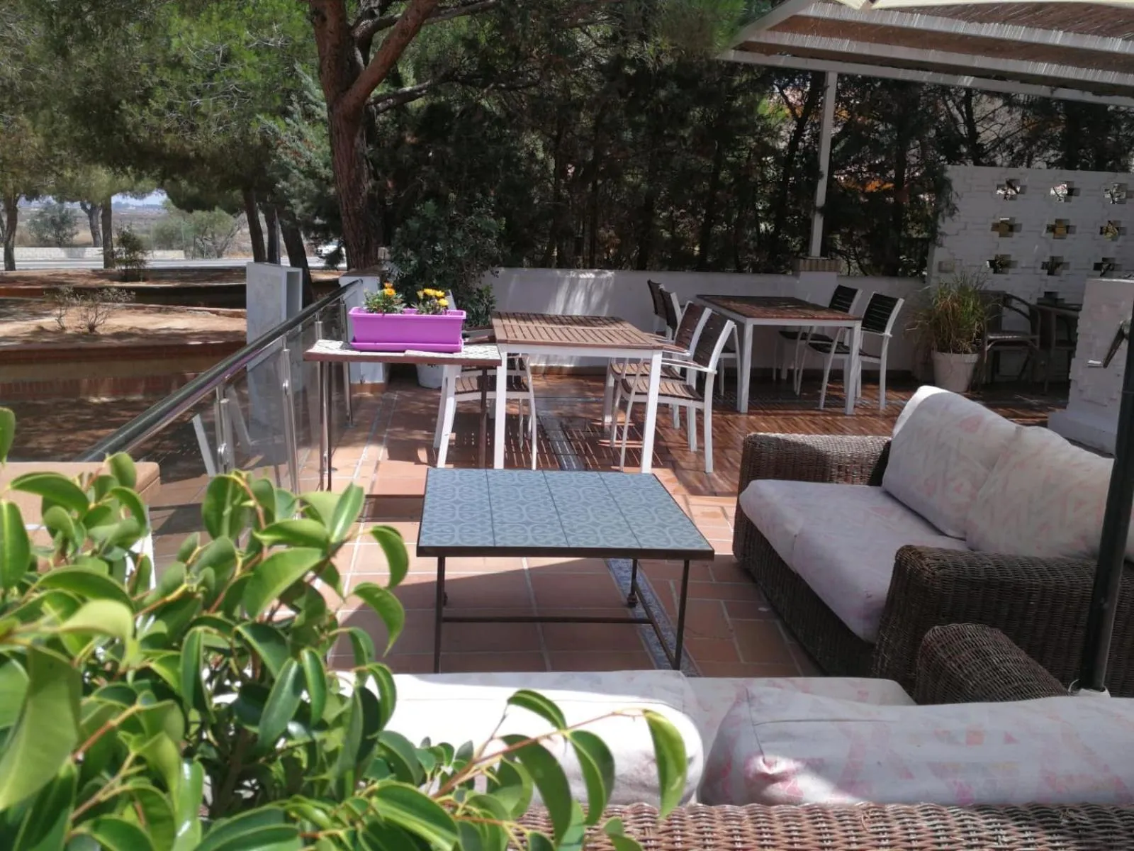 Patio in Hotel Marisma Sancti Petri