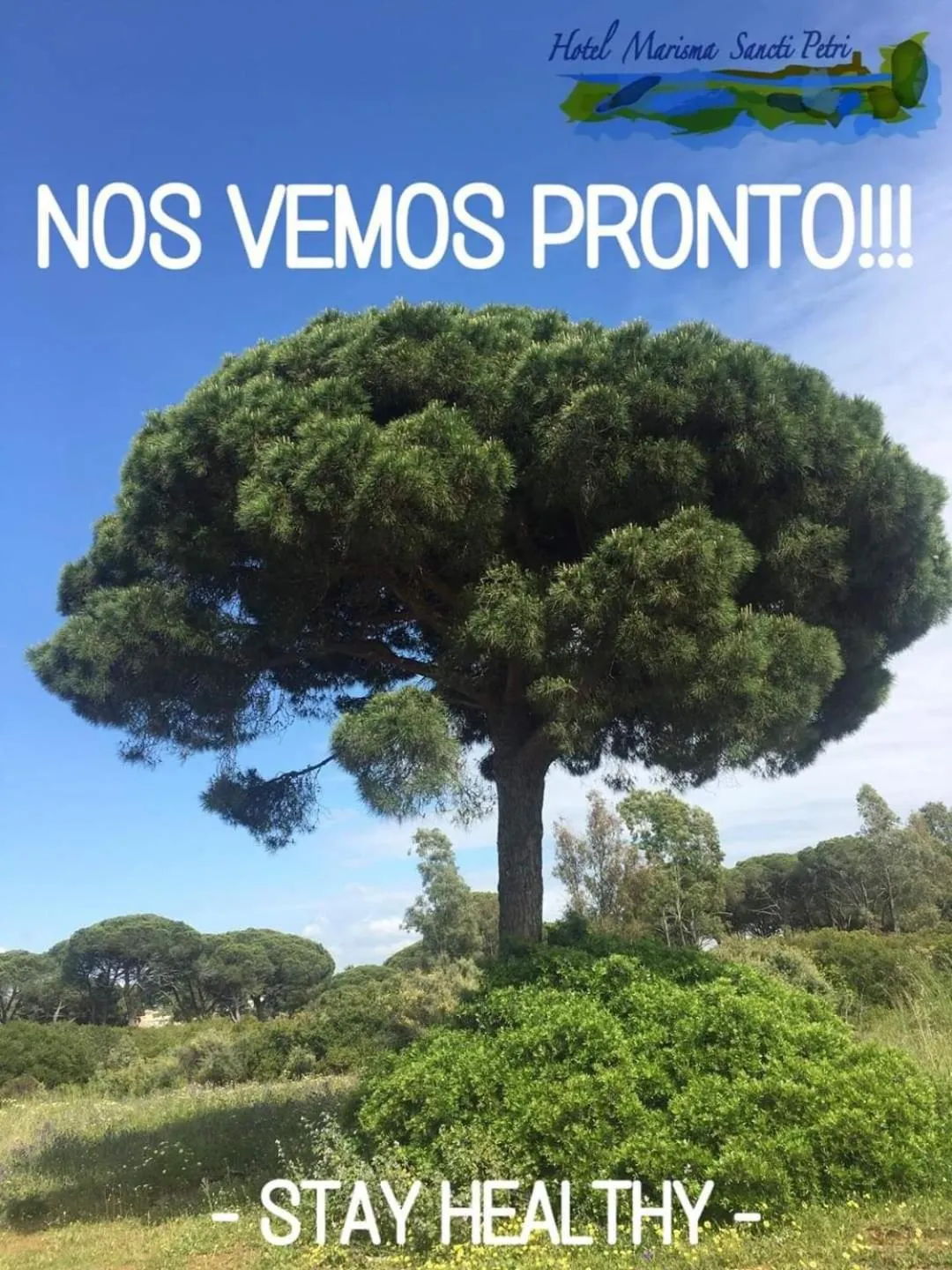 Hiking in Hotel Marisma Sancti Petri