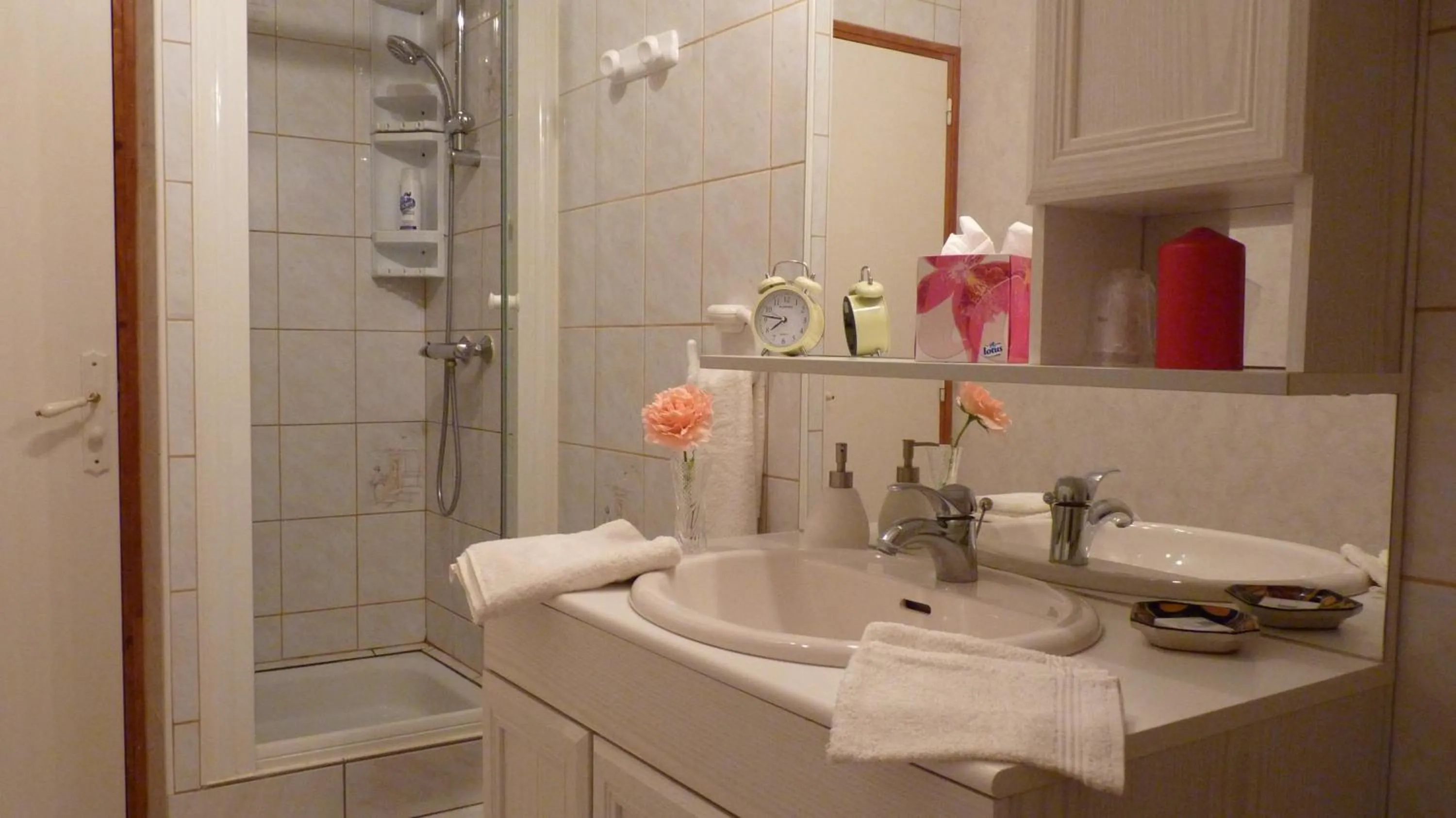 Bathroom in La Trémière