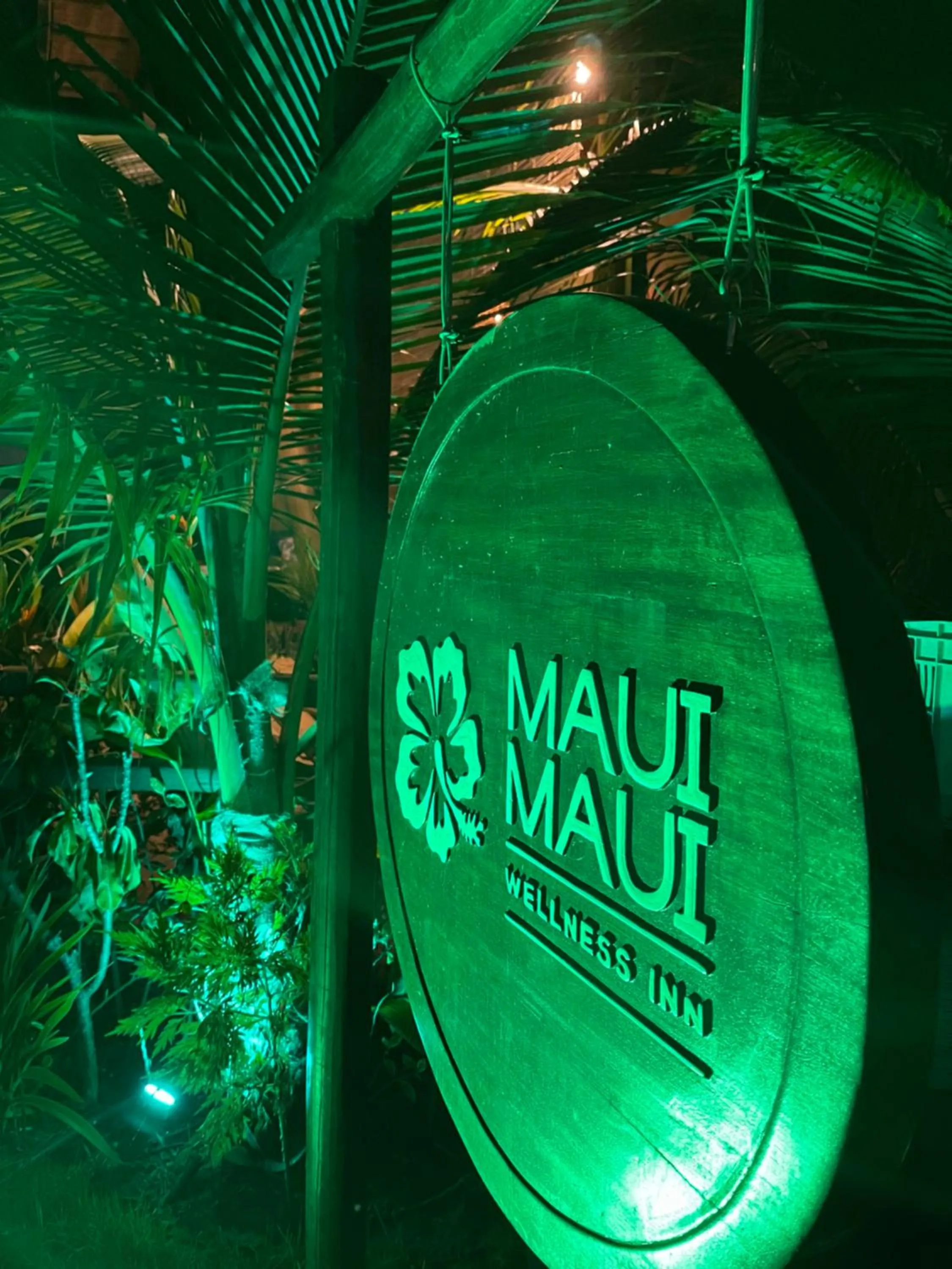 Property logo or sign in Maui Maui Wellness- Taipu de Fora - Barra Grande