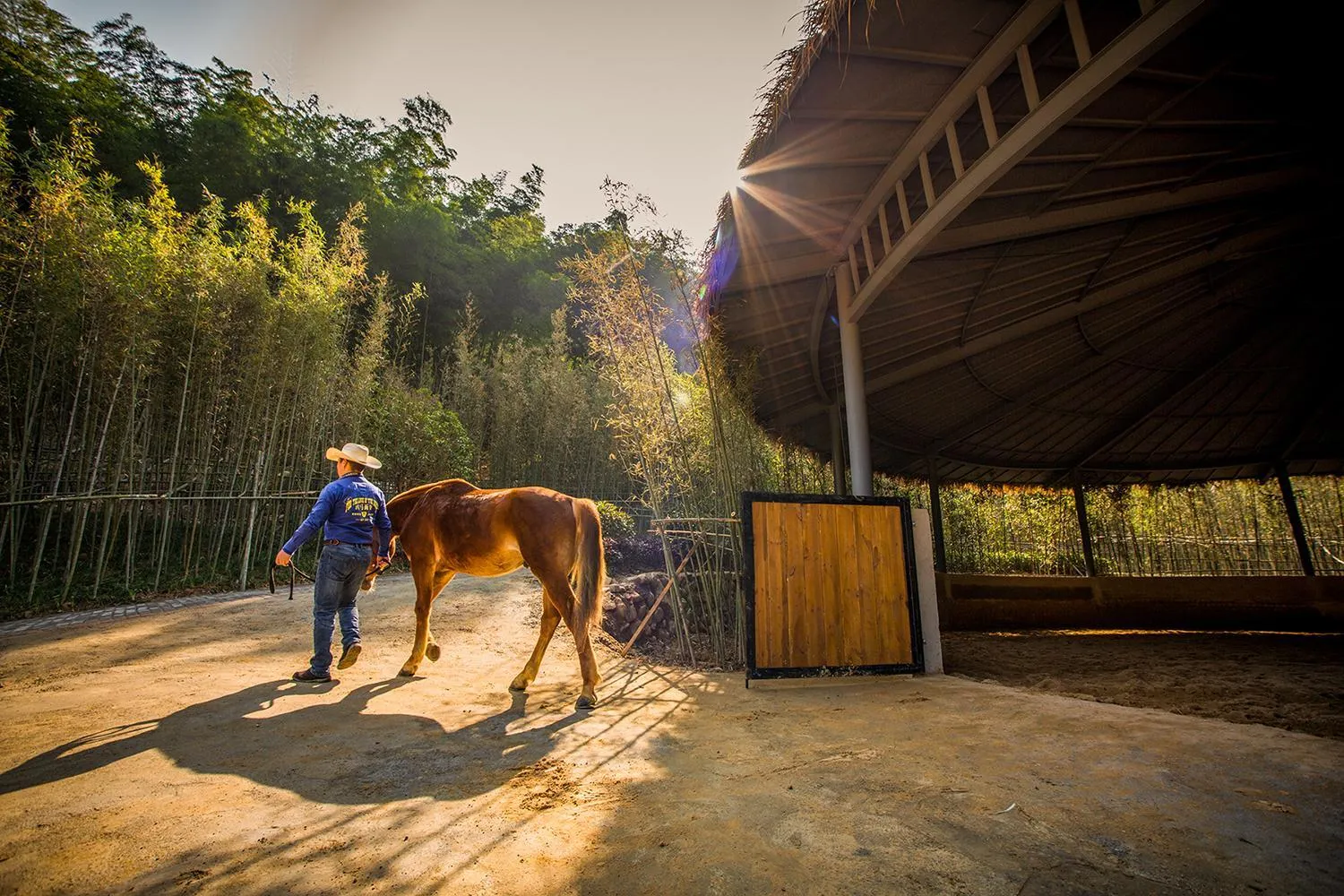 Horse-riding in AHN LAN Ninghai