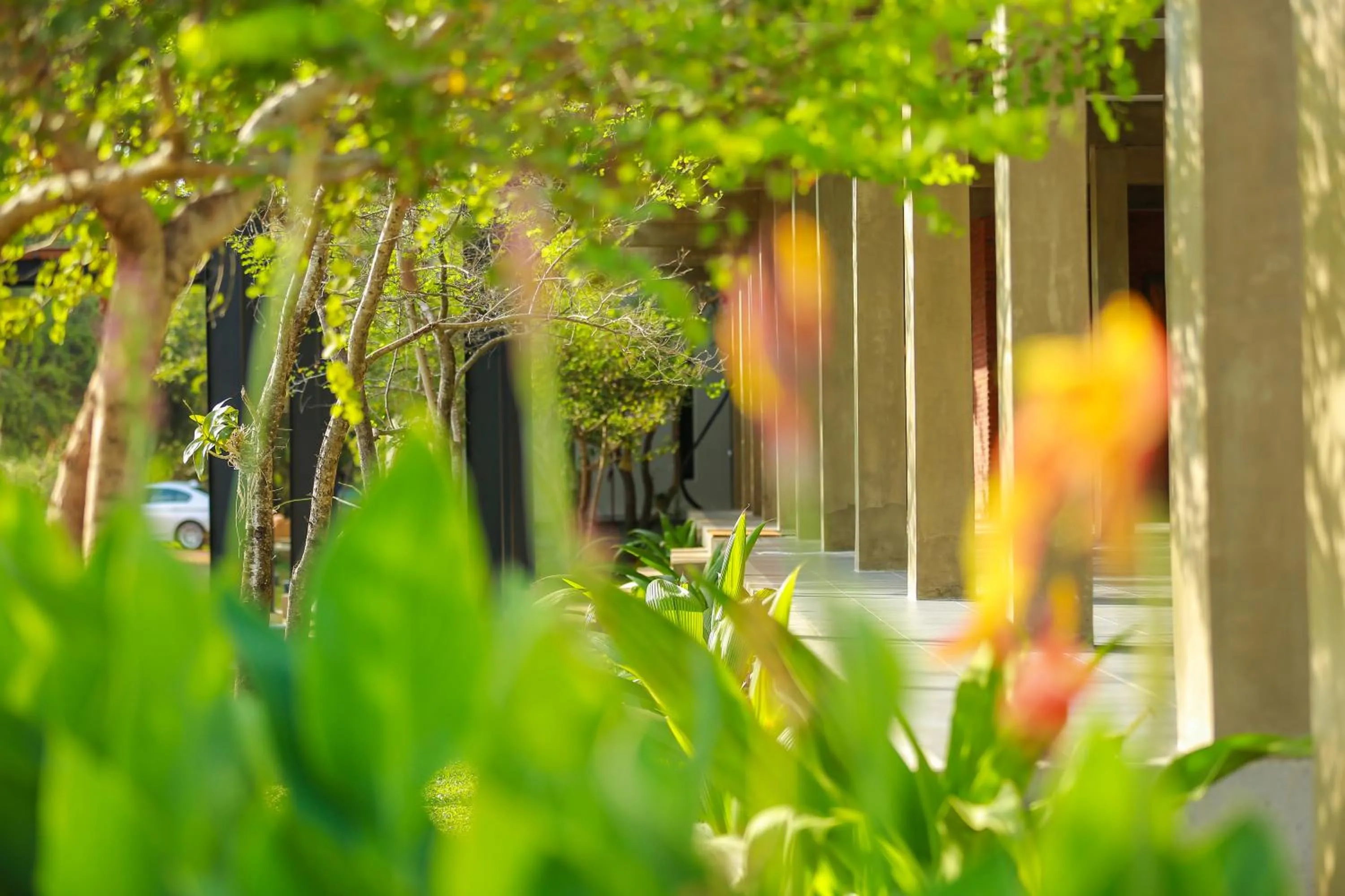 Tropical Life Resort and Spa