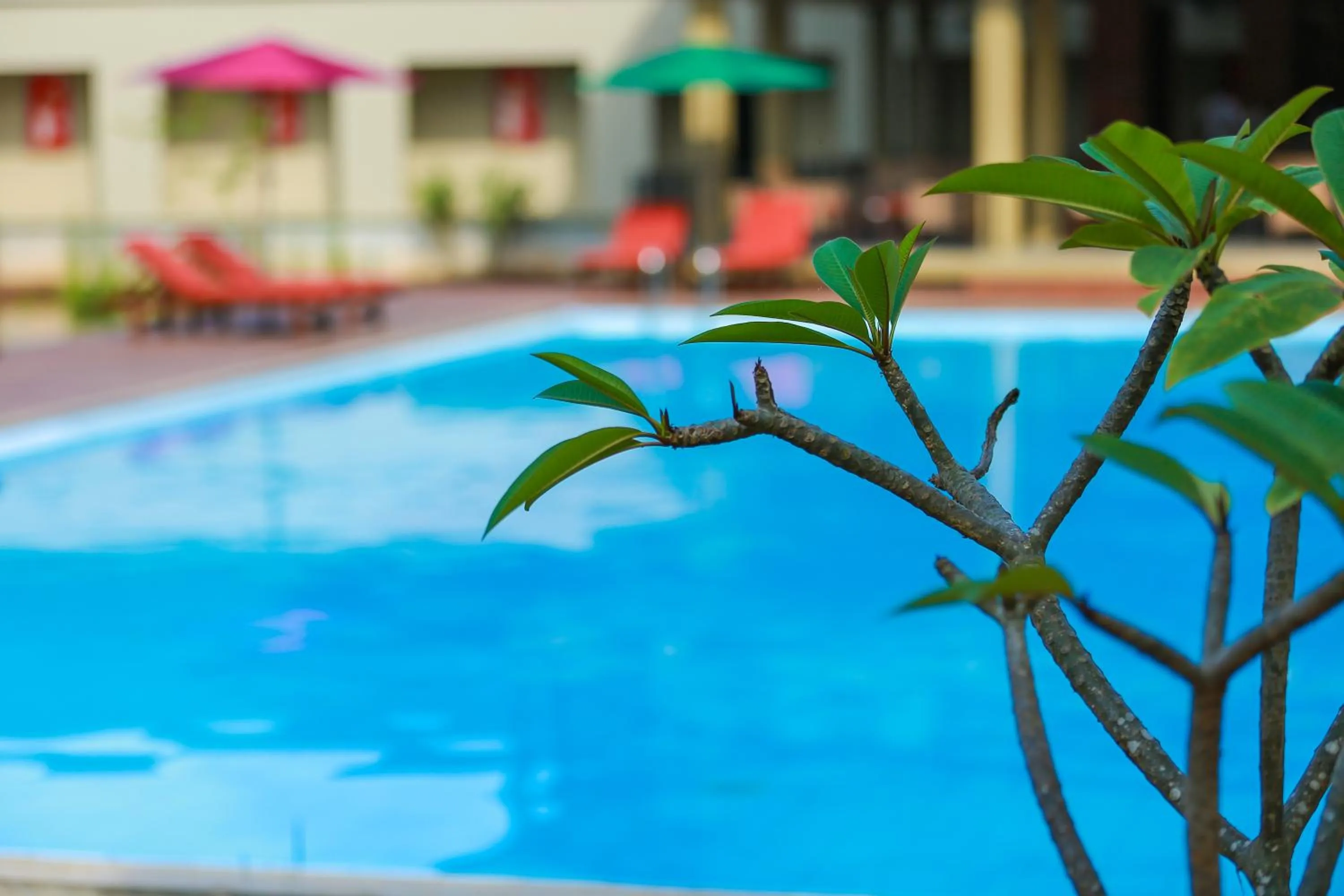 Swimming pool in Tropical Life Resort and Spa