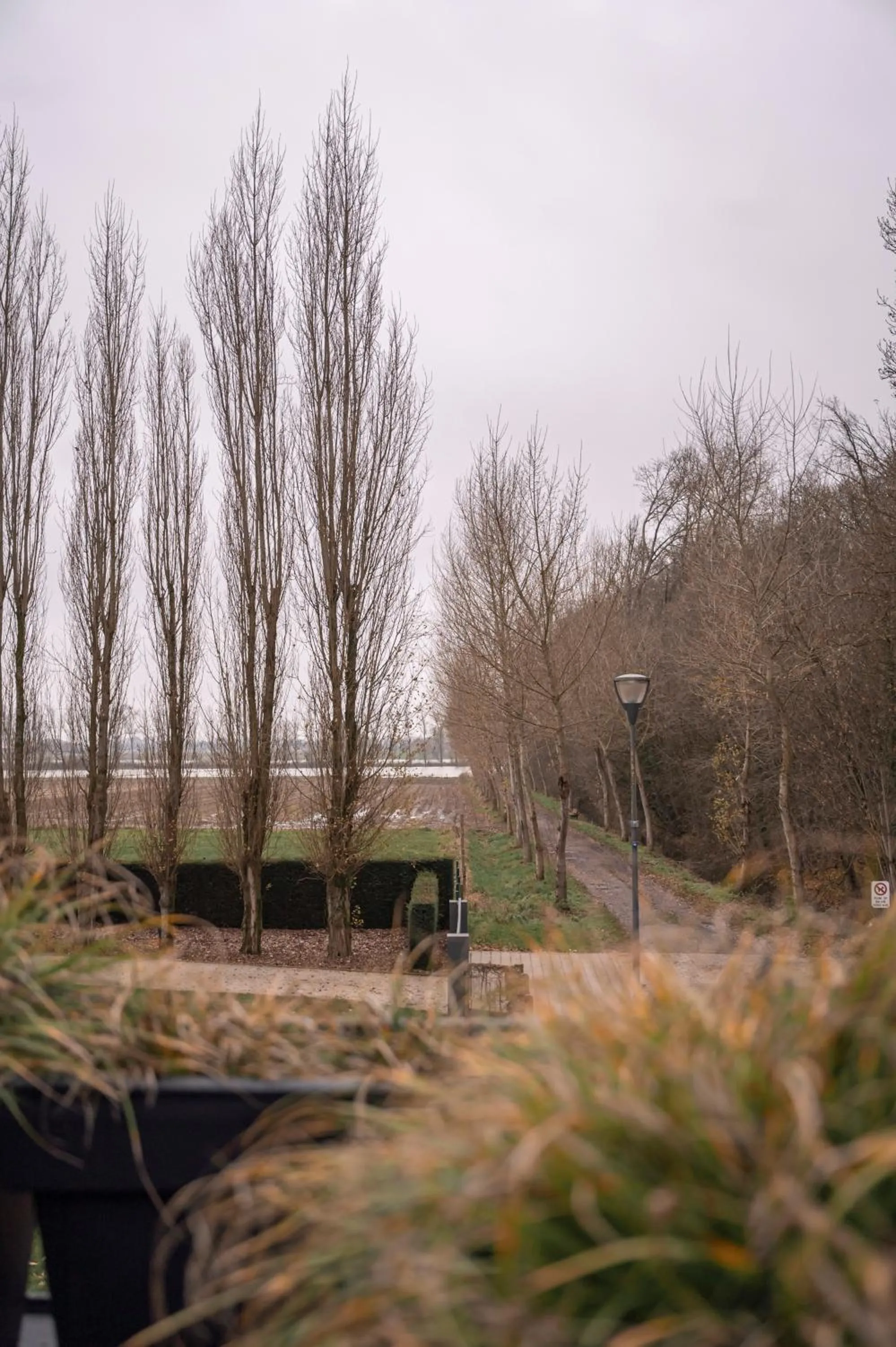 Natural landscape in B&B De Klaproos