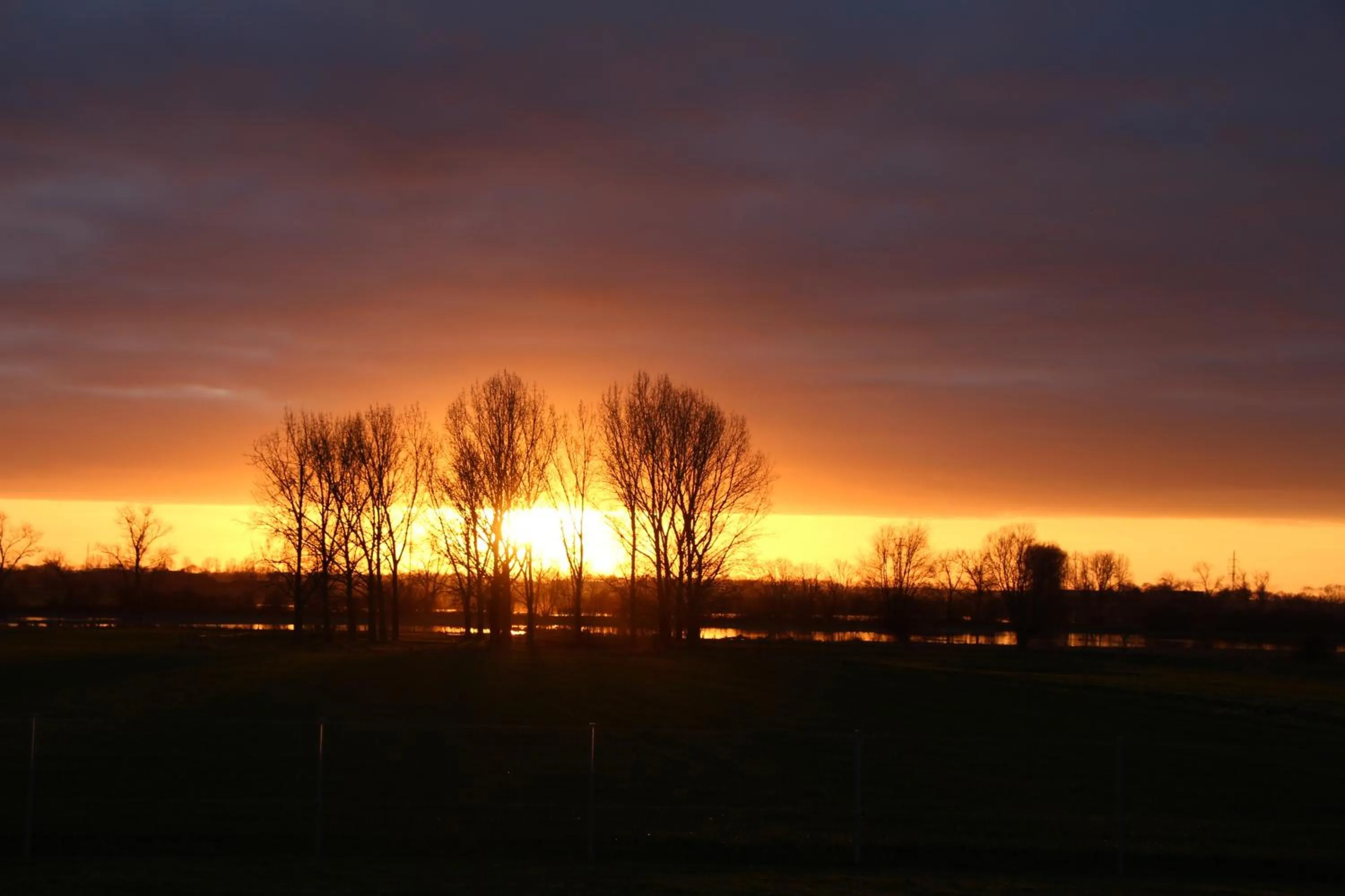 Natural landscape in B&B De Klaproos