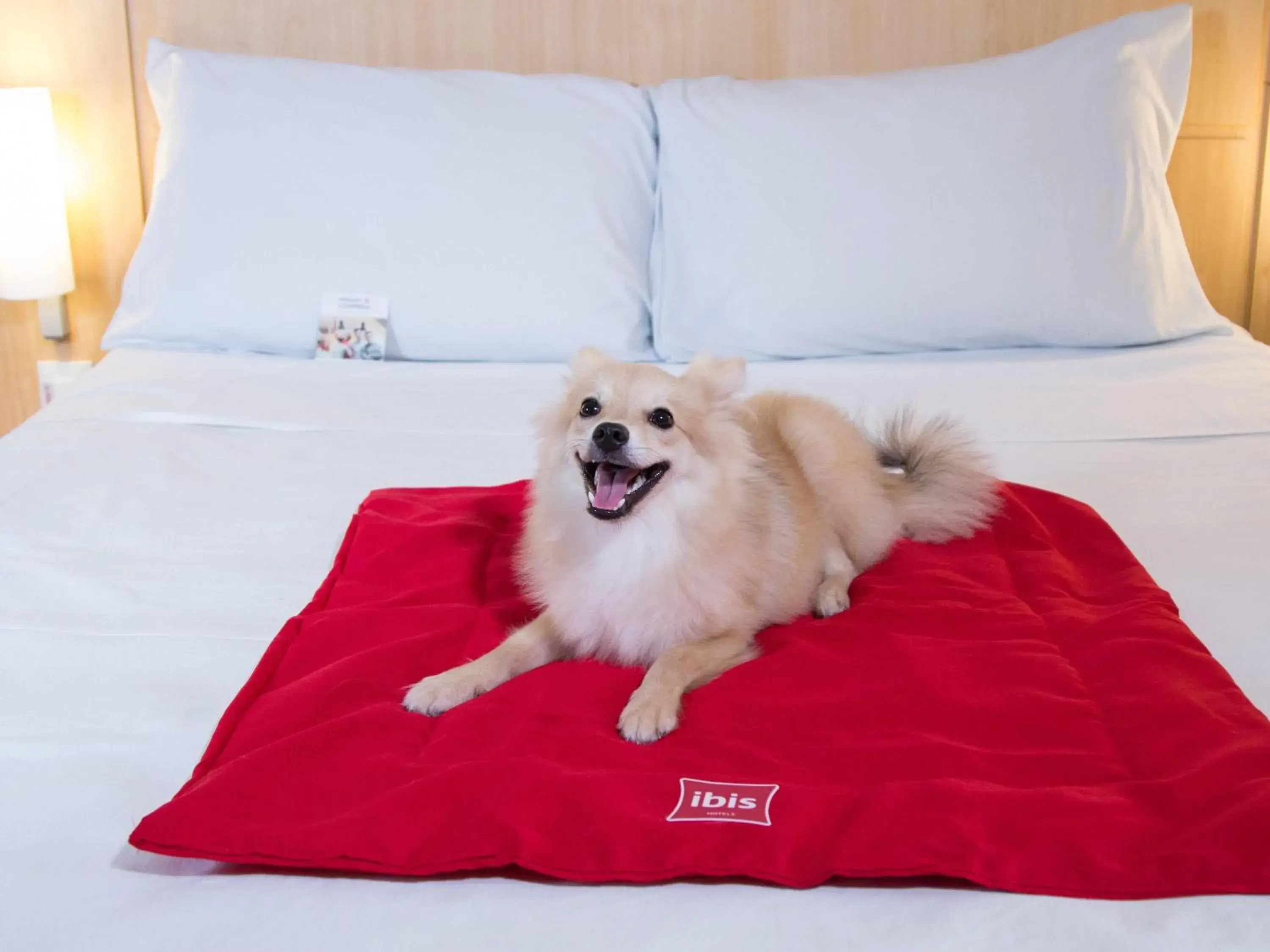 Other, Bed in ibis Maceio Pajuçara Other, Bed in ibis Maceio Pajuçara