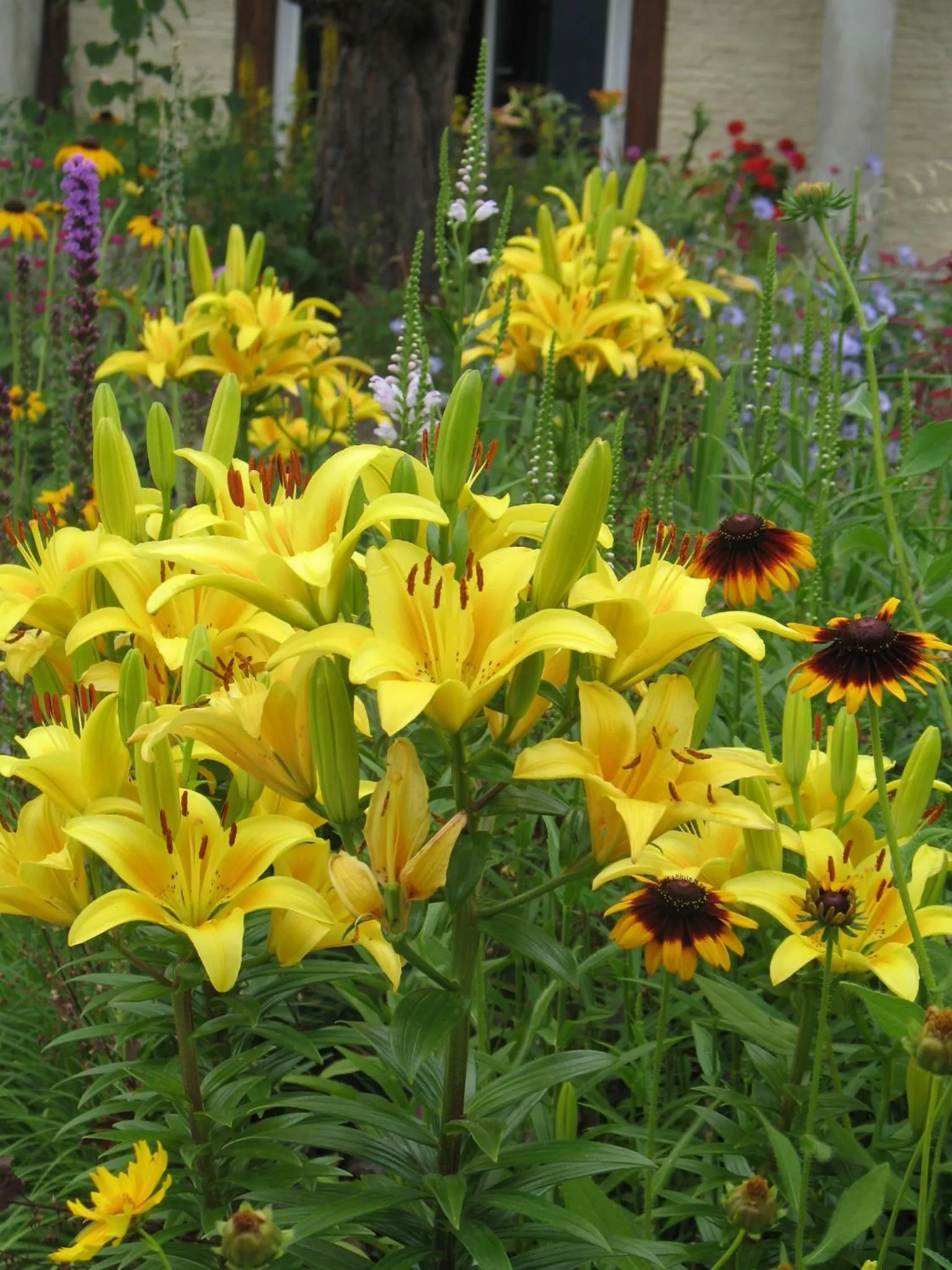 Garden in Willa Pod Aniołem - Pokoje Gościnne & Apartamenty z widokiem na góry