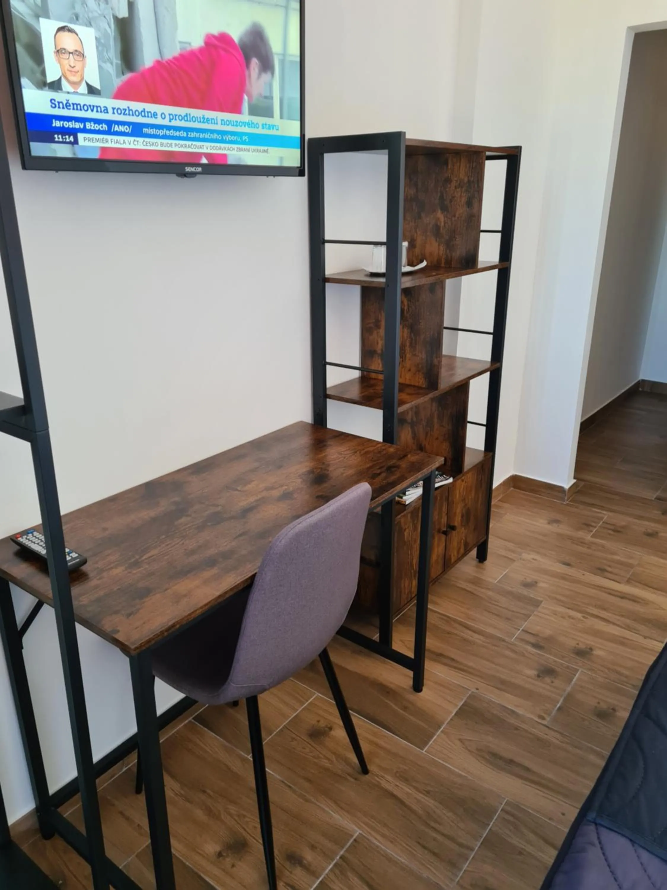 TV and multimedia in Hotel Montenegro