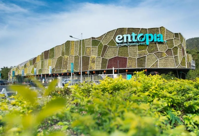 Entertainment in By The Sea Beach Luxury Resort - Batu Ferringhi