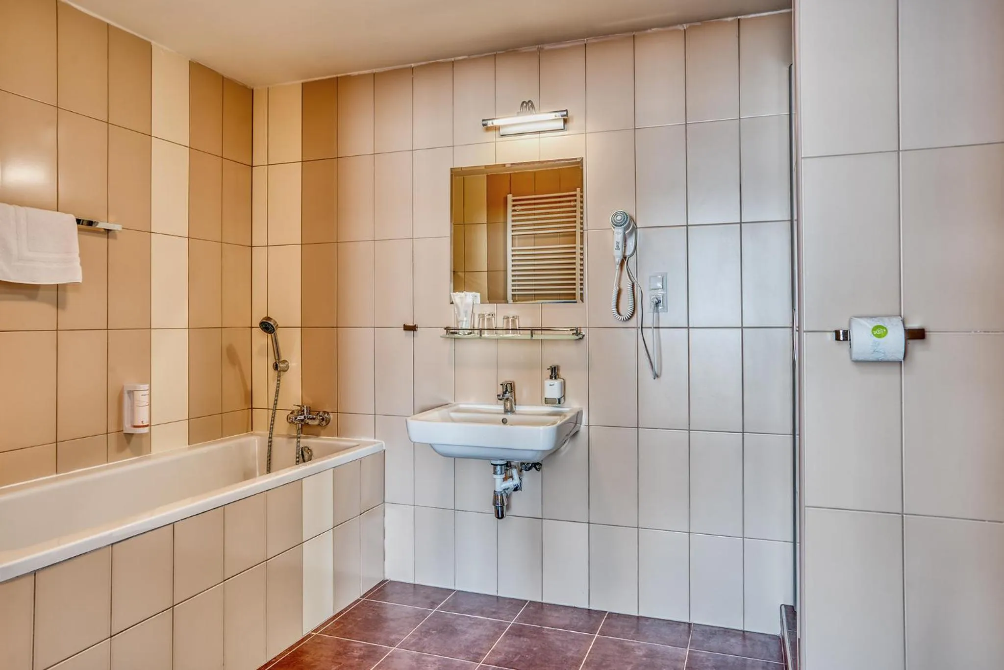 Bathroom in Hotel Arena