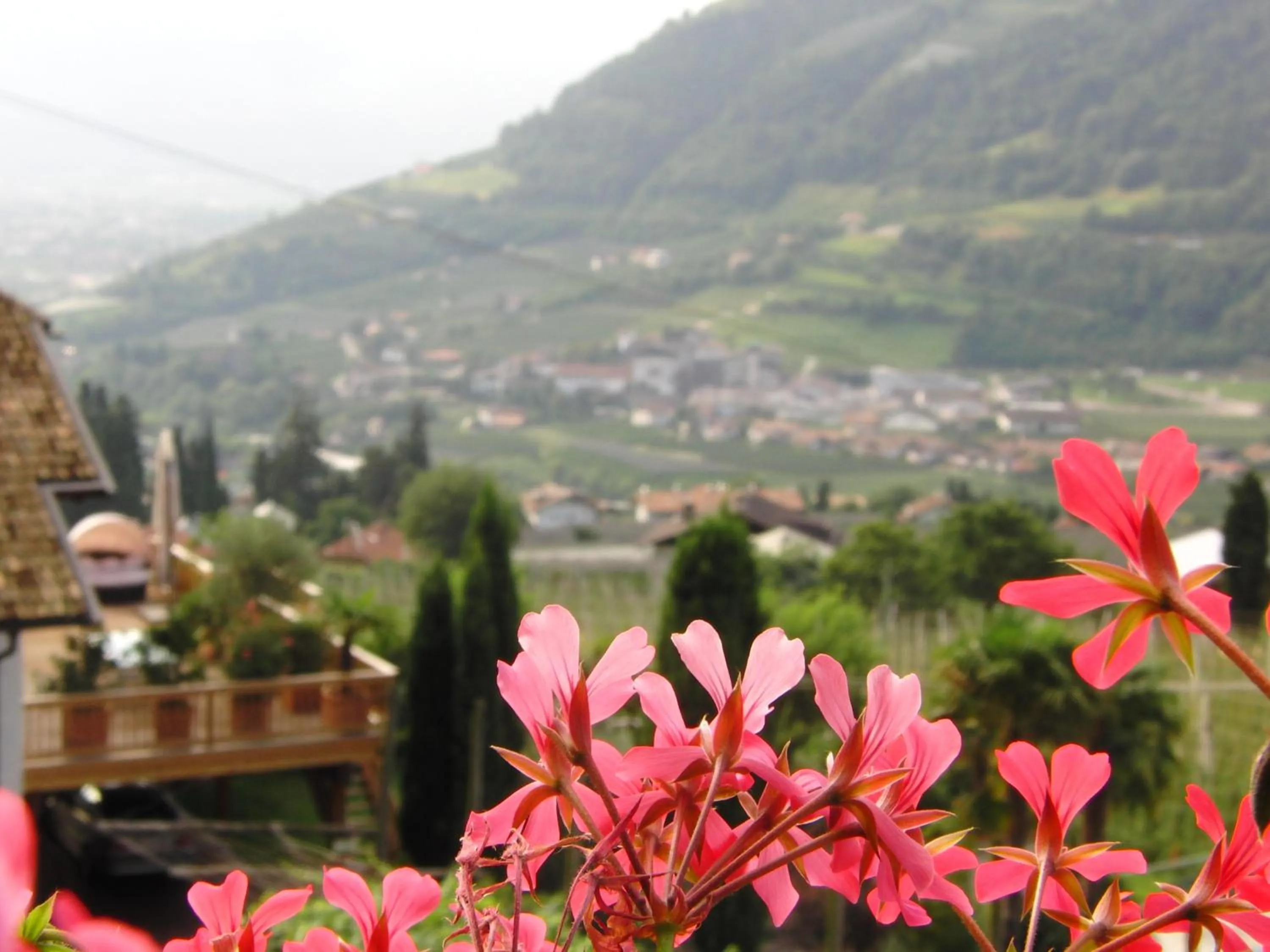 View (from property/room) in Garni An der Leit