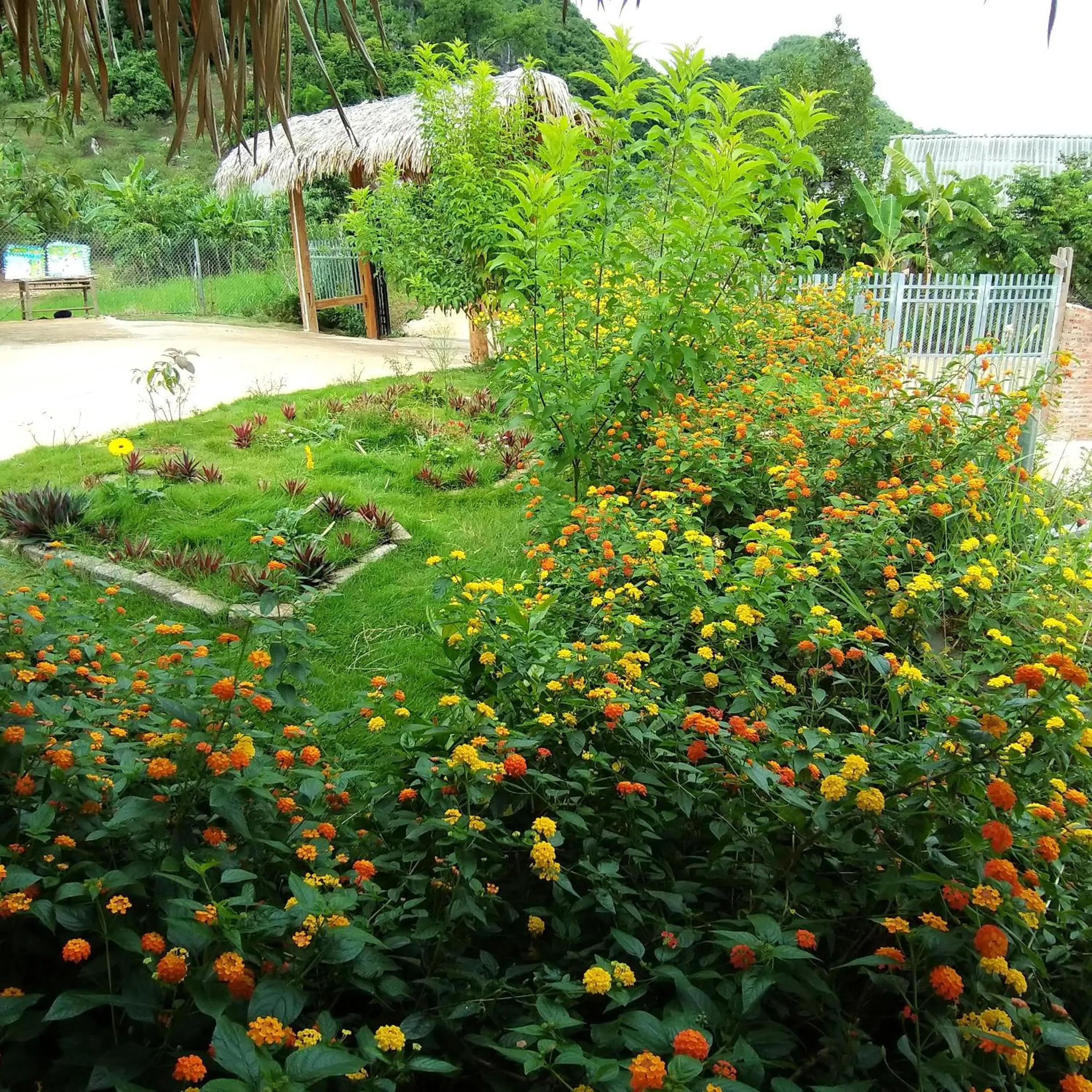 Eco House Mộc Châu