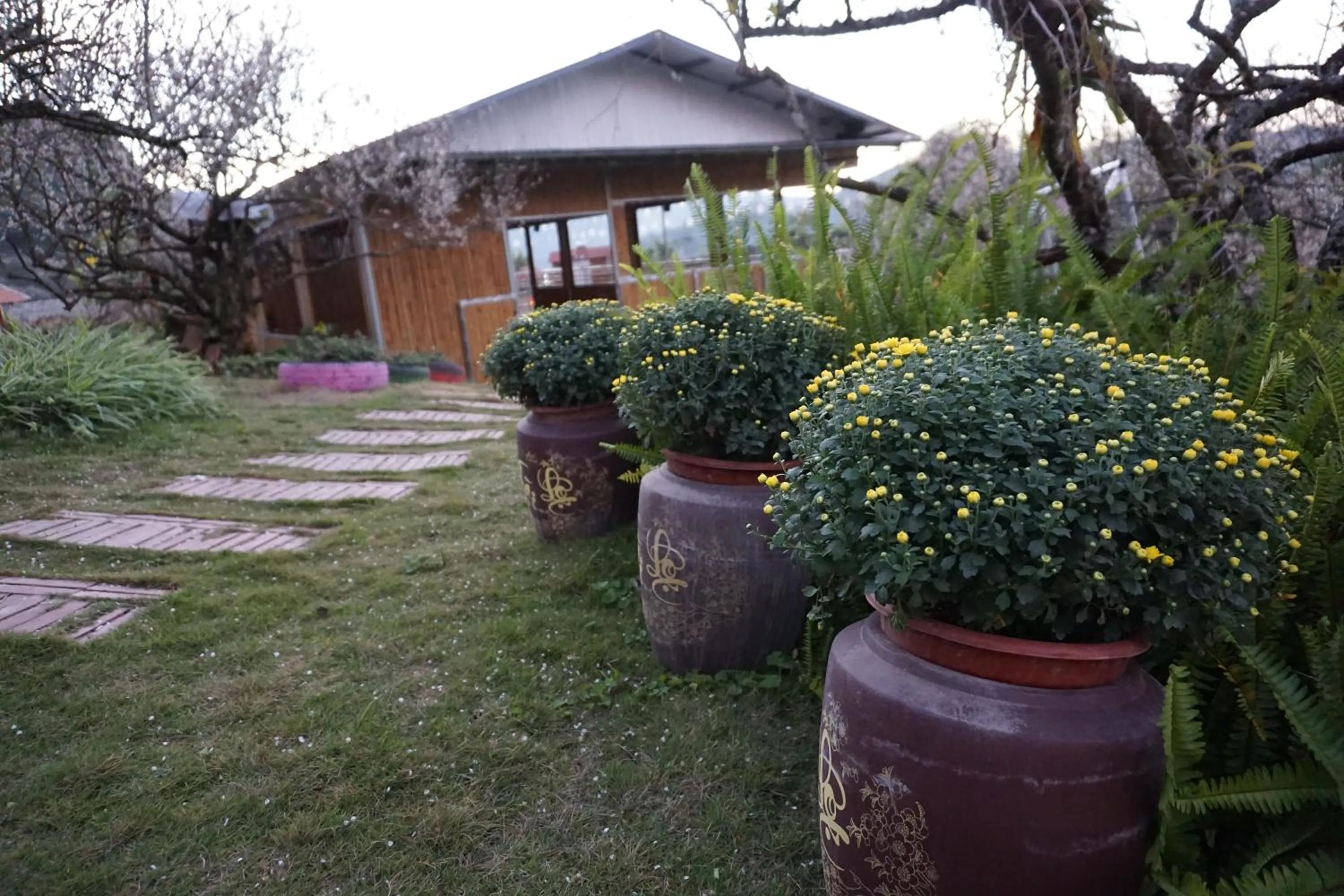 Garden in Eco House Mộc Châu