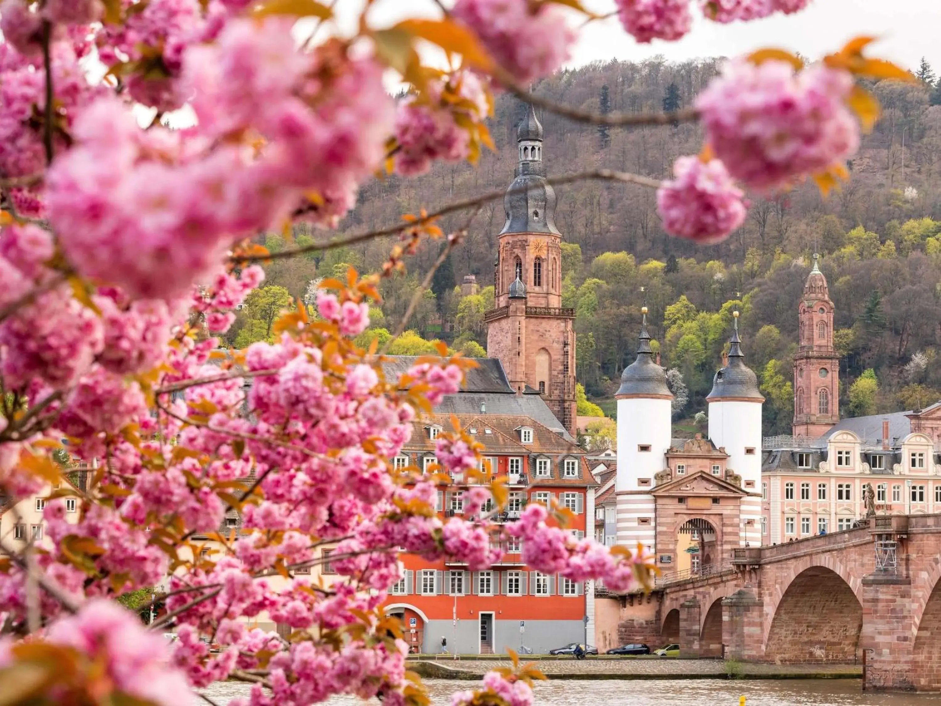Property building in ibis Heidelberg Hauptbahnhof Property building in ibis Heidelberg Hauptbahnhof