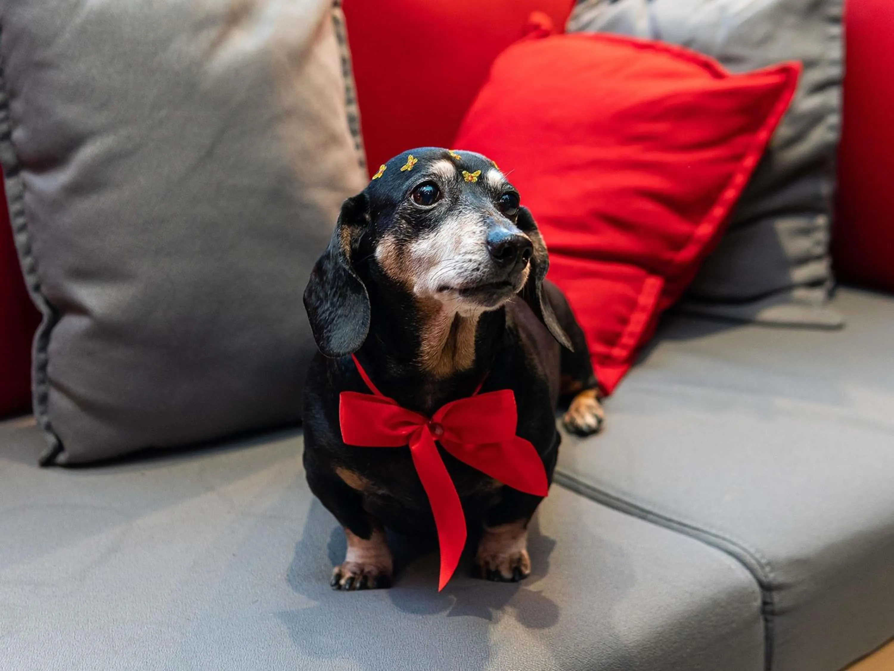 Other in ibis Heidelberg Hauptbahnhof