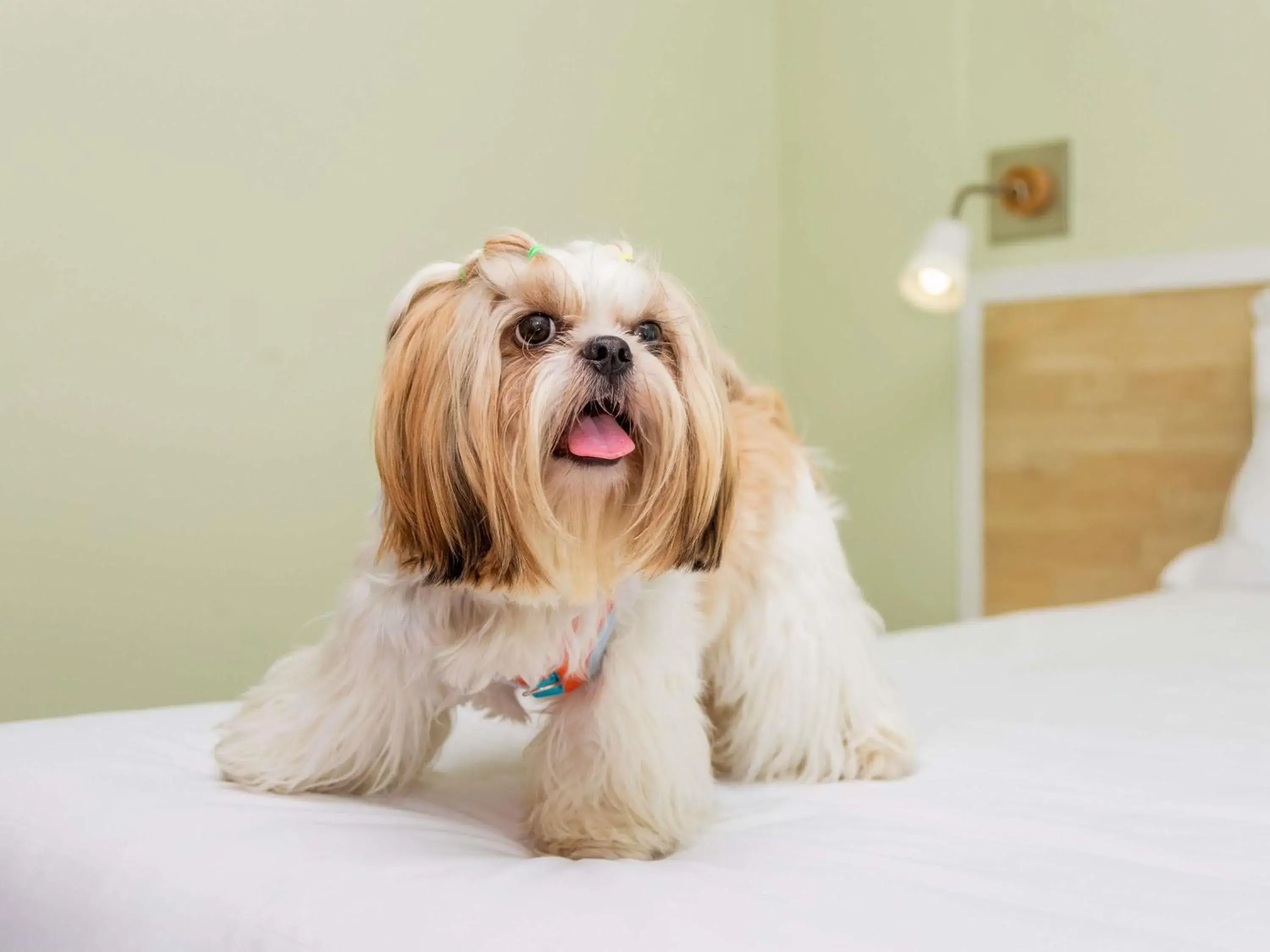 Property building in ibis Heidelberg Hauptbahnhof Property building in ibis Heidelberg Hauptbahnhof