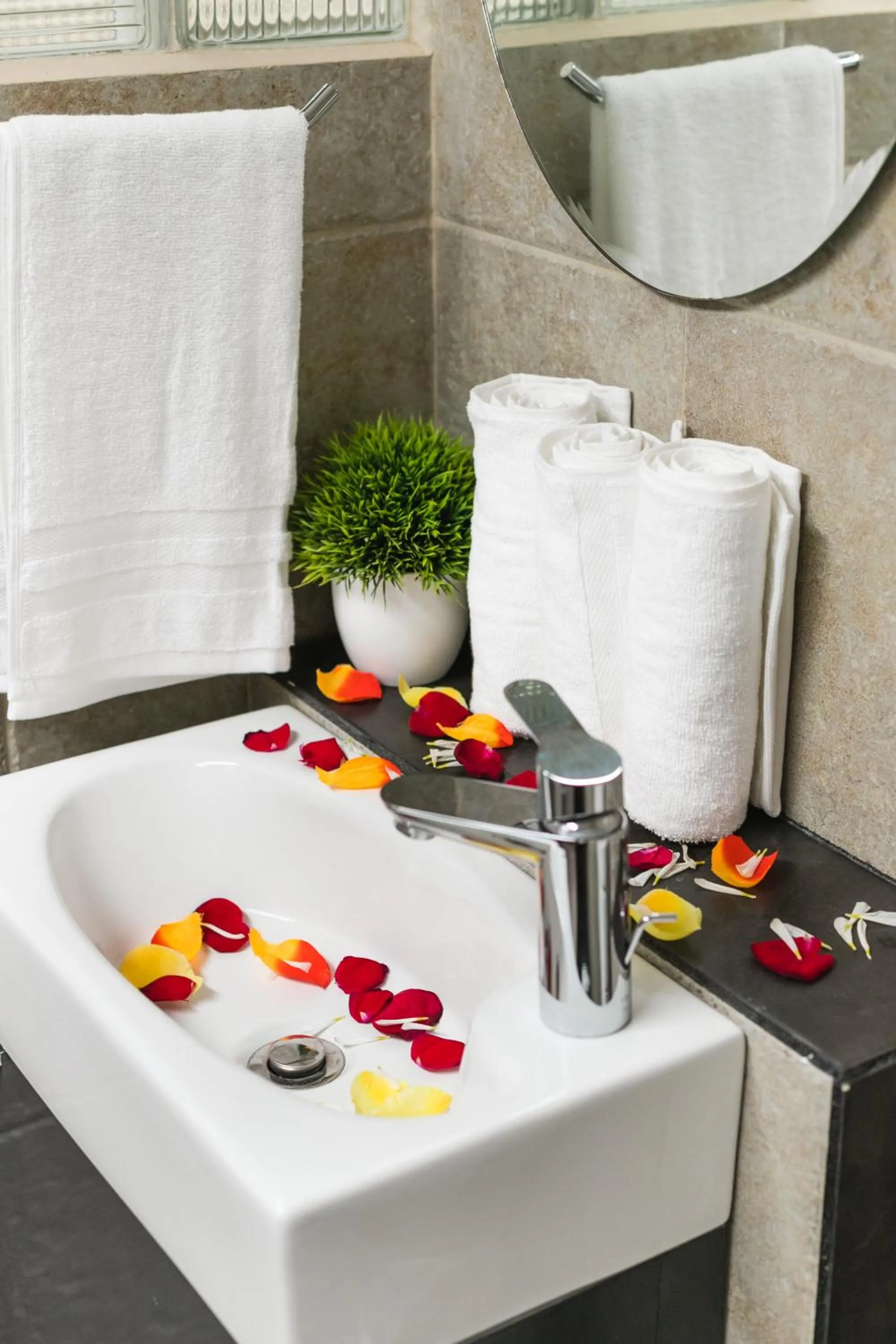 Toilet in Suite Studio Serviced Apartments