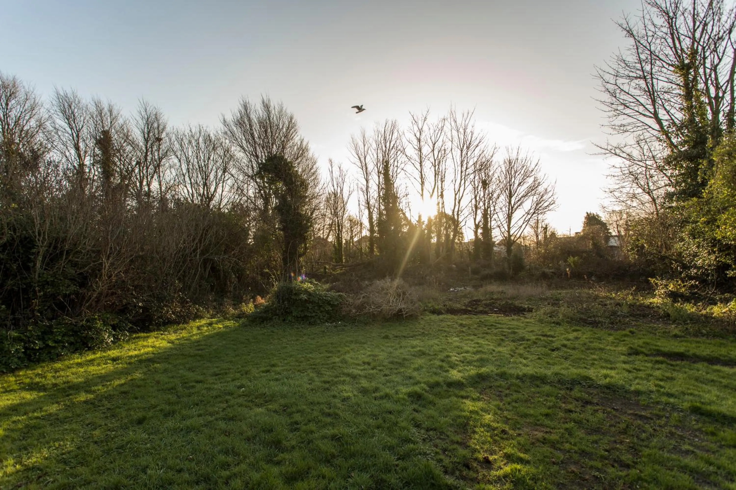 Killester Self Catering Cottage