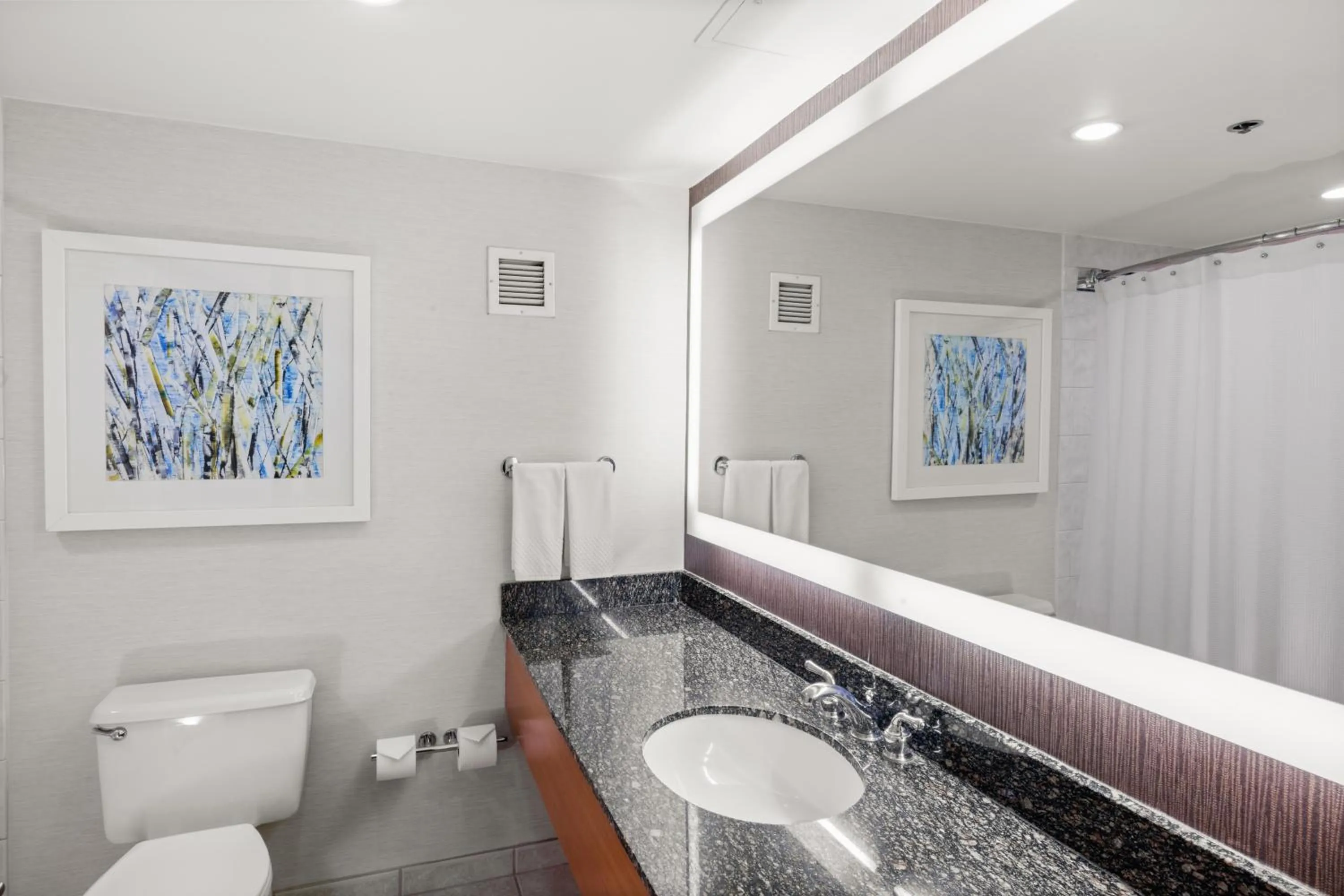 Bathroom in Hilton Salt Lake City Center