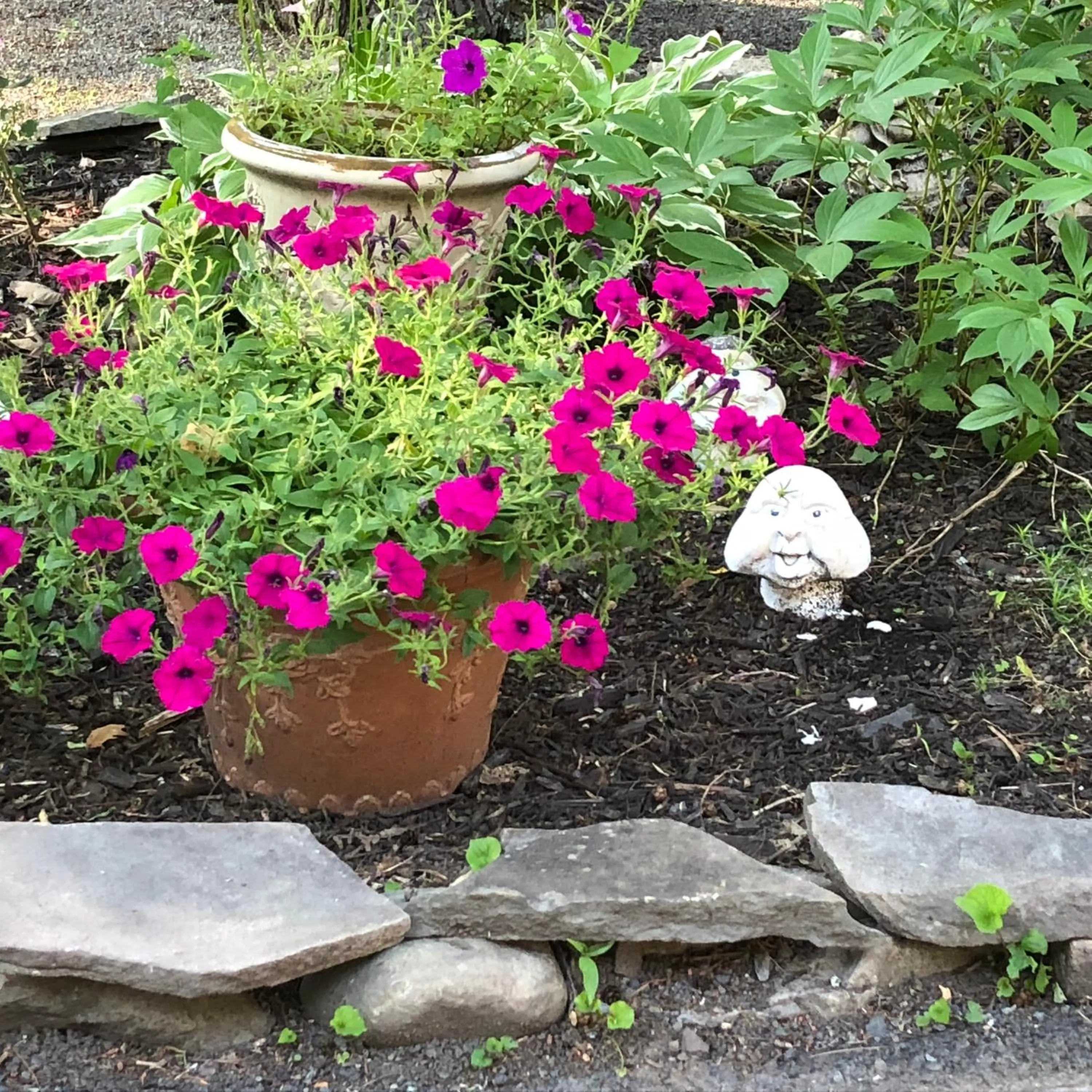 View (from property/room) in Brookview Manor Inn