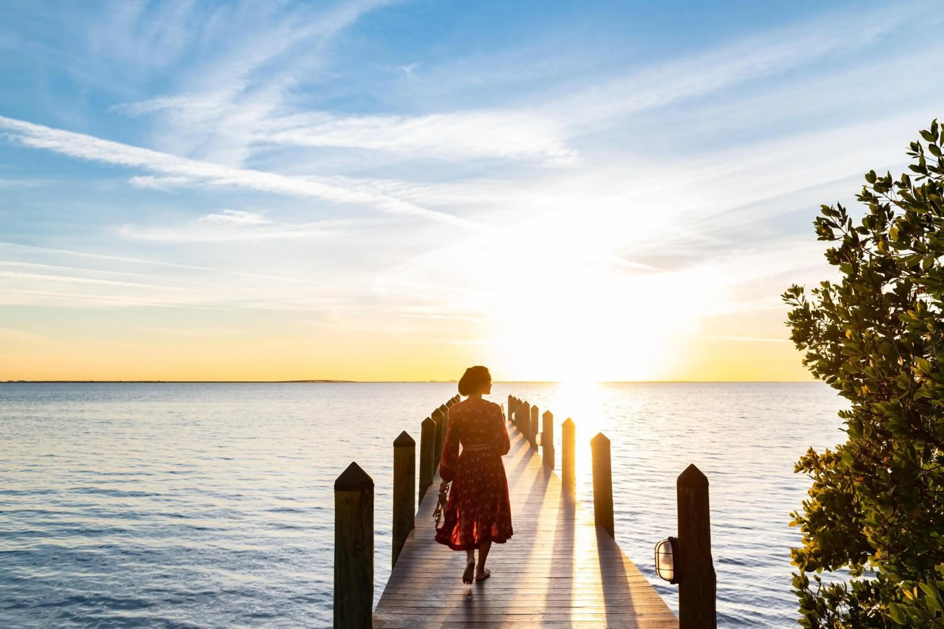 Fitness centre/facilities in Grand Hyatt Tampa Bay
